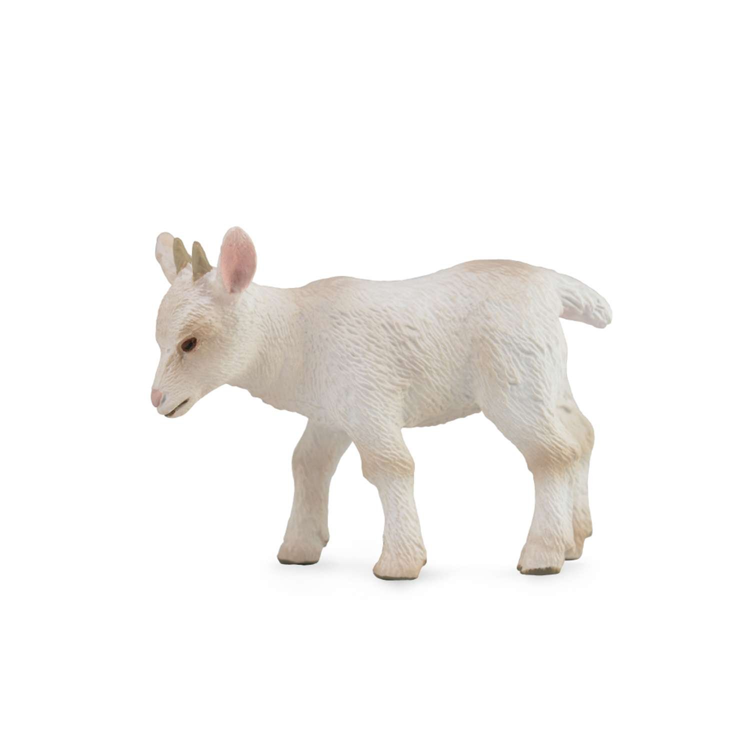 CollectA Goat Kid - Walking - 3 Years +