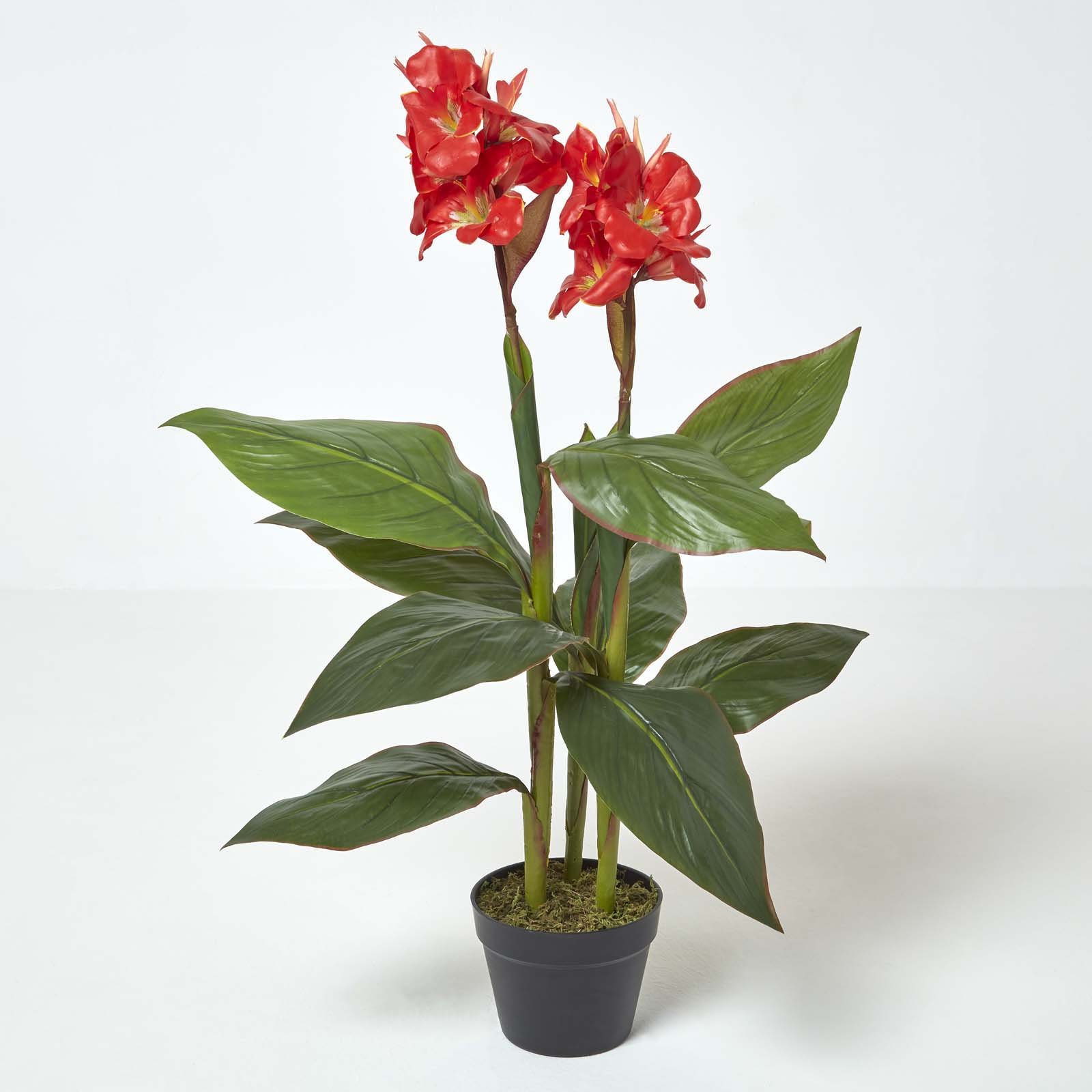 Homescapes Handcrafted Artificial Canna Lily Plant - Red