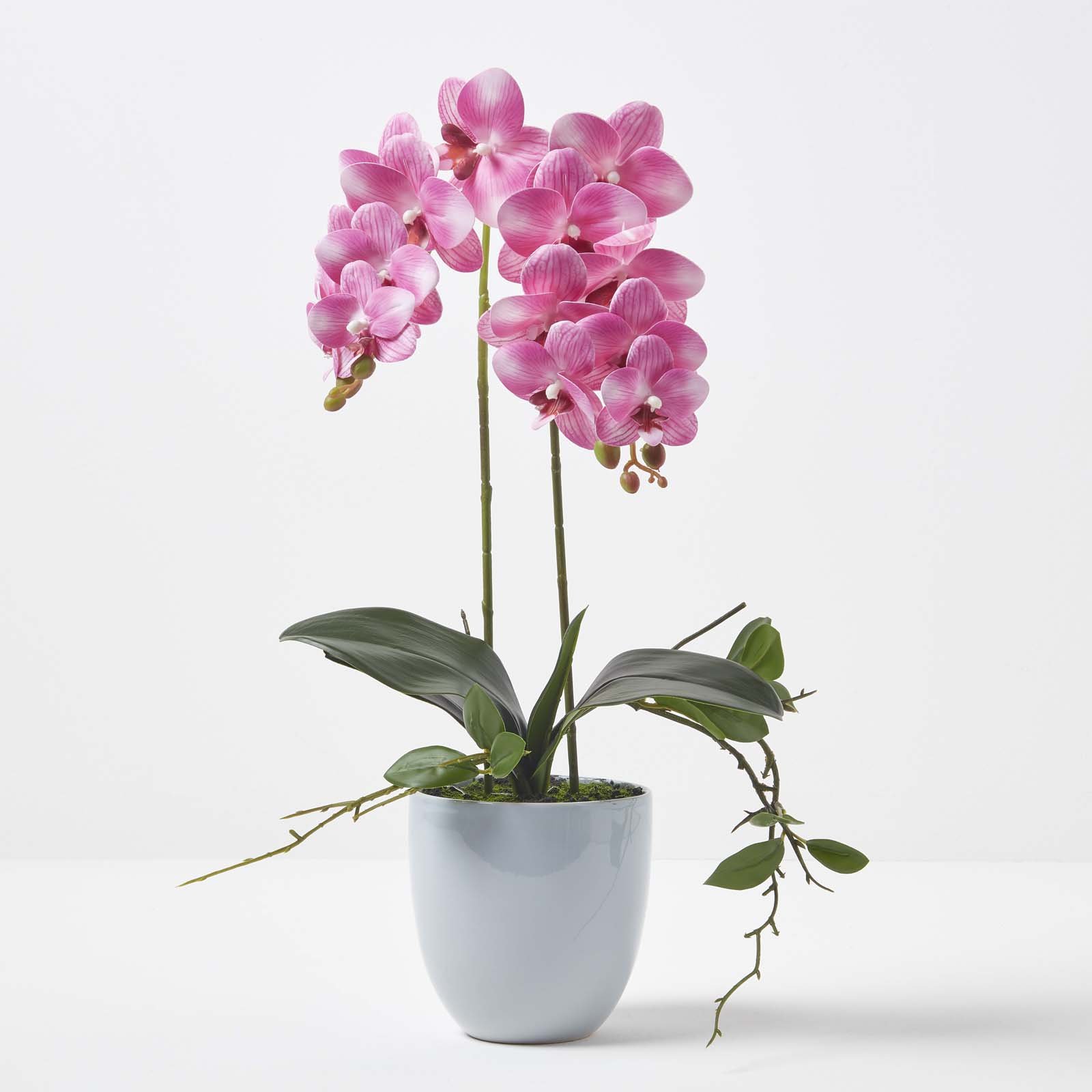 Homescapes Phalaenopsis Orchid 54 cm Ceramic Pot - Pink