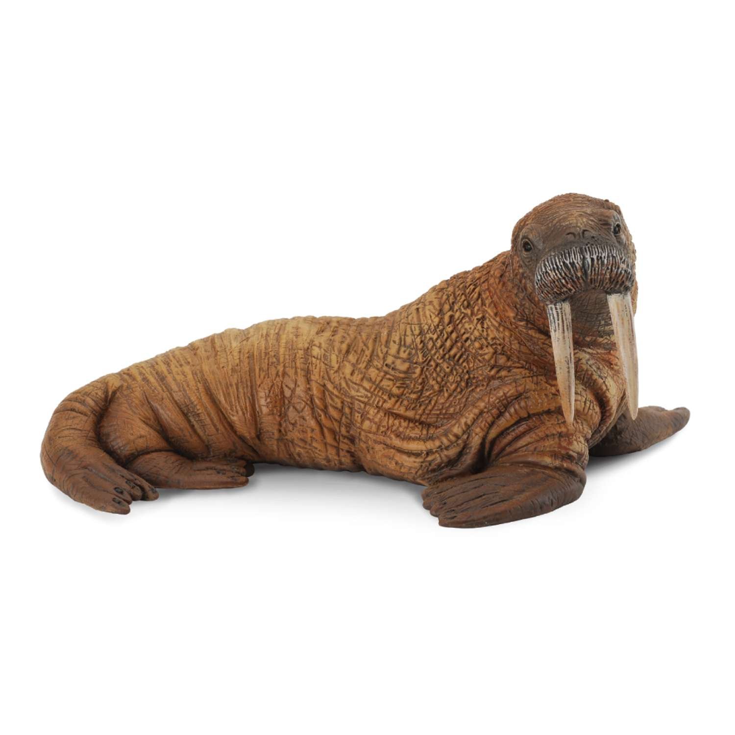 CollectA Walrus - 3 Years +
