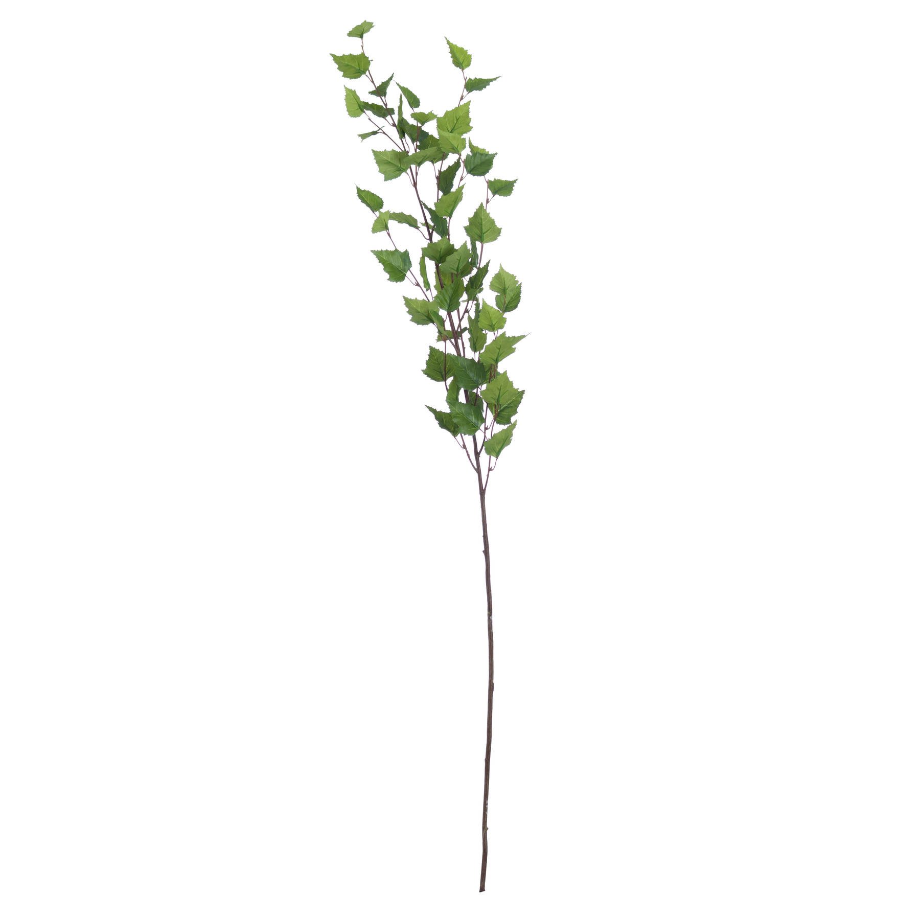 Hill Interiors Artificial Faux Green Branch Spray - Green