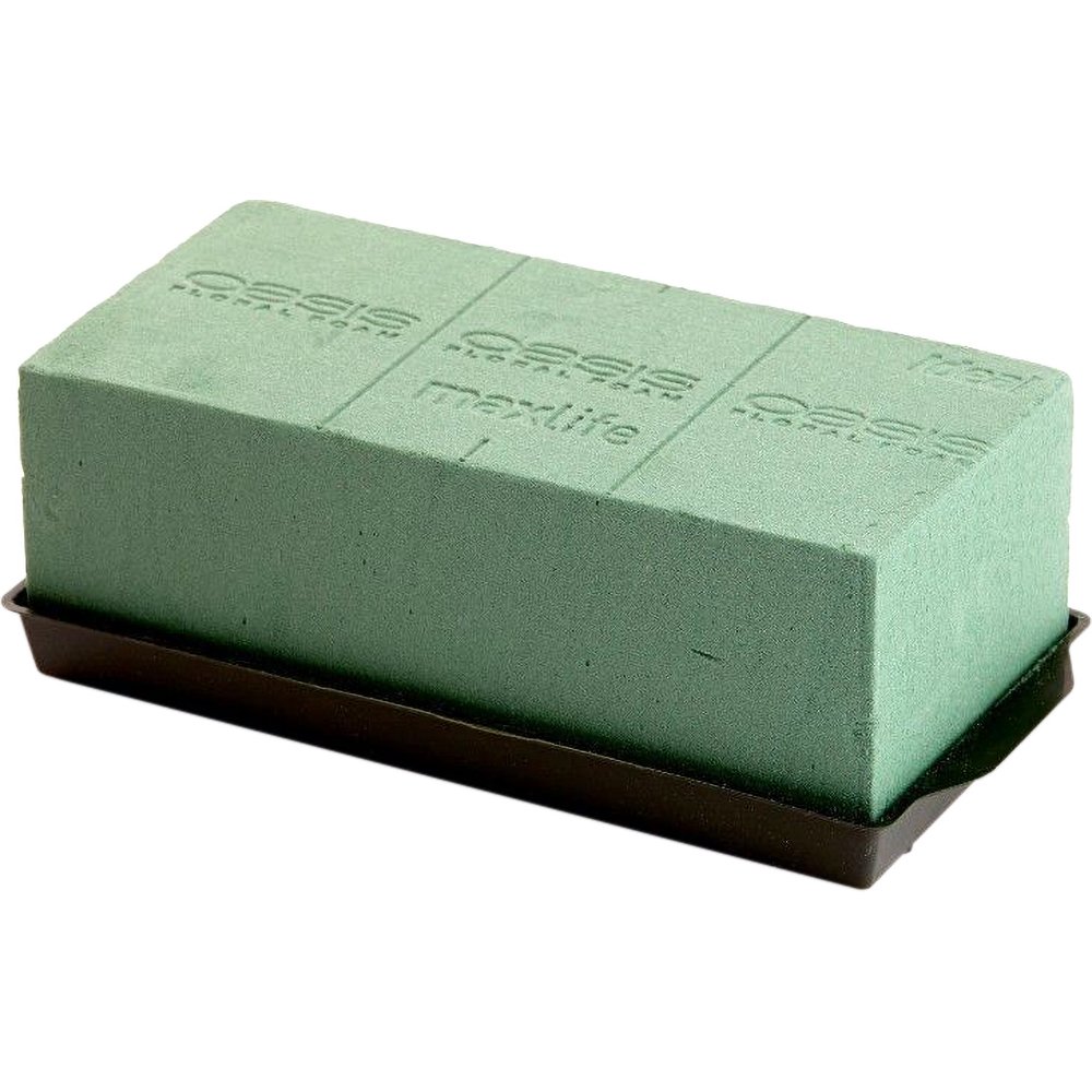 Oasis Creative Floral Foam Tray - Green