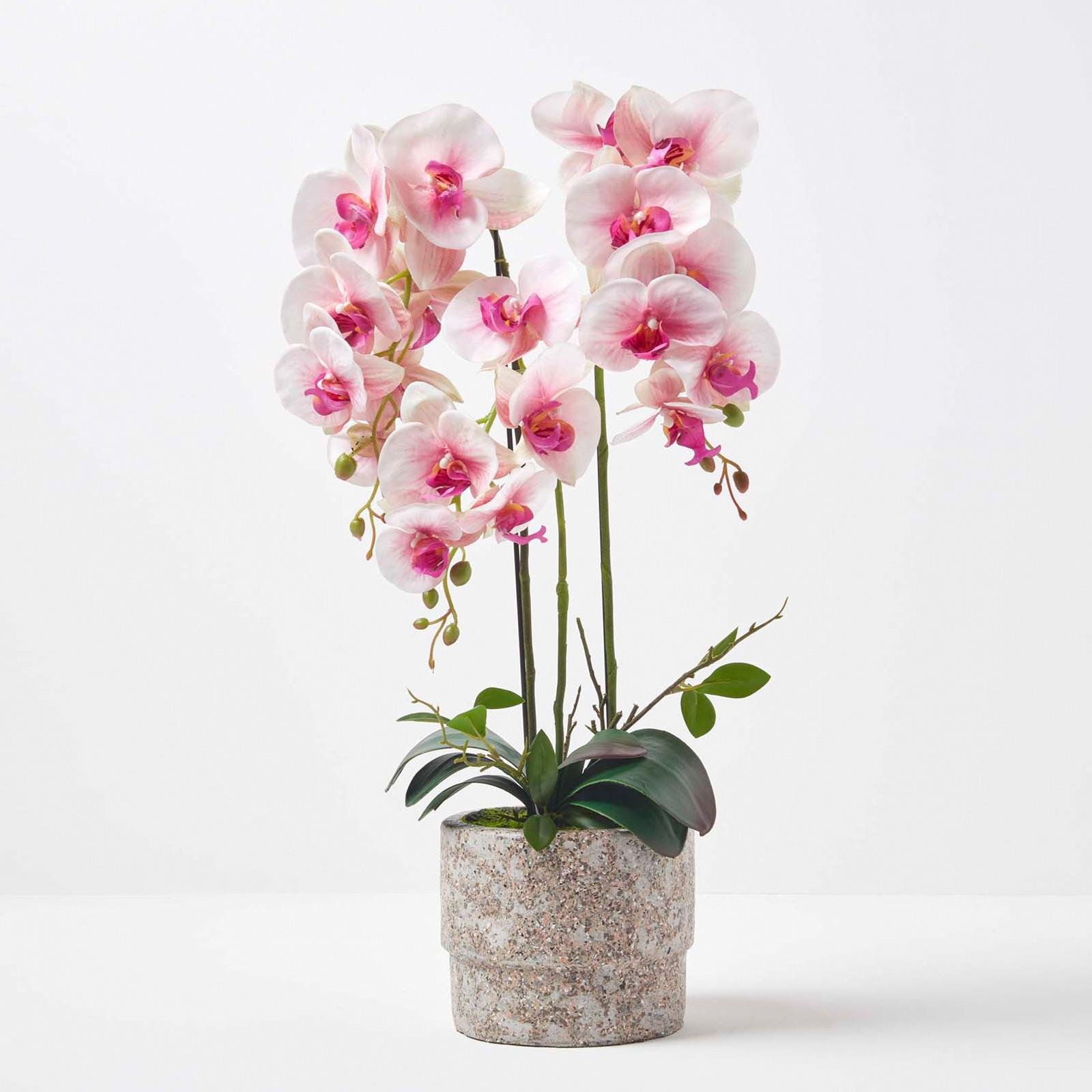 Homescapes Artificial Phalaenopsis Orchid Plant in Cement Pot - Pink