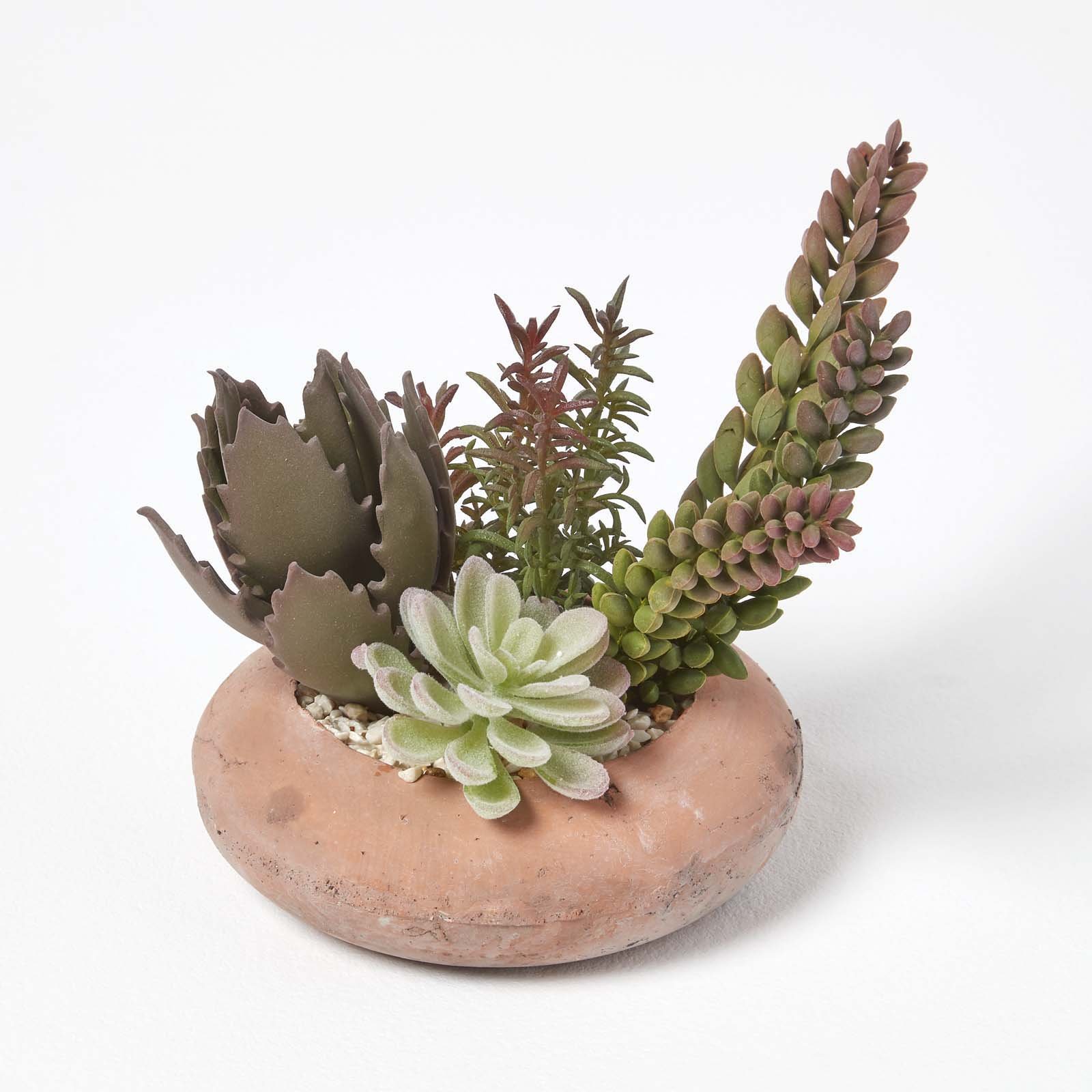 Homescapes Artificial Succulent Planter - multicoloured