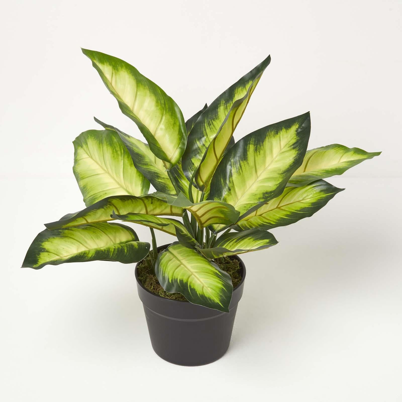 Homescapes Handcrafted Dieffenbachia Dumb Cane Artificial Plant in Pot - Green