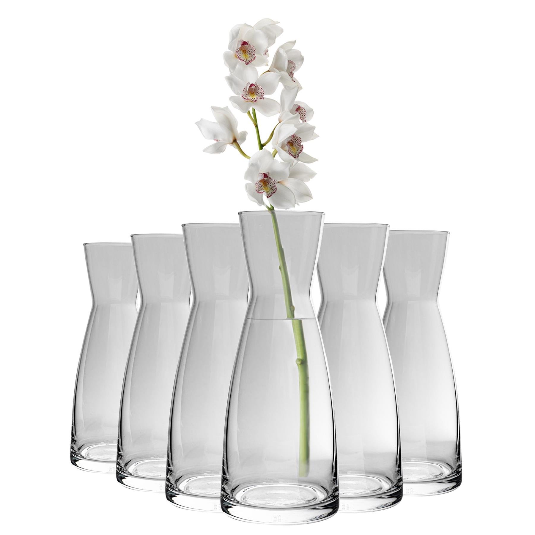 Bormioli Rocco Ypsilon Glass Carafes 550ml - Pack of 6