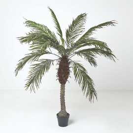 Homescapes Handcrafted Artificial Phoenix Palm Tree in Pot - Green