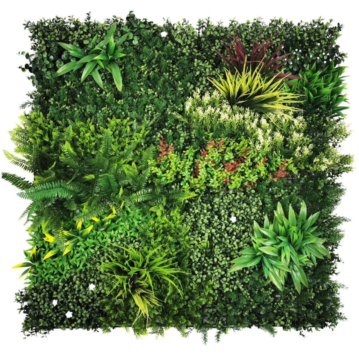 Ark Mat Artificial Living Wall Panel - Lush Lonsdale - 1m x 1m