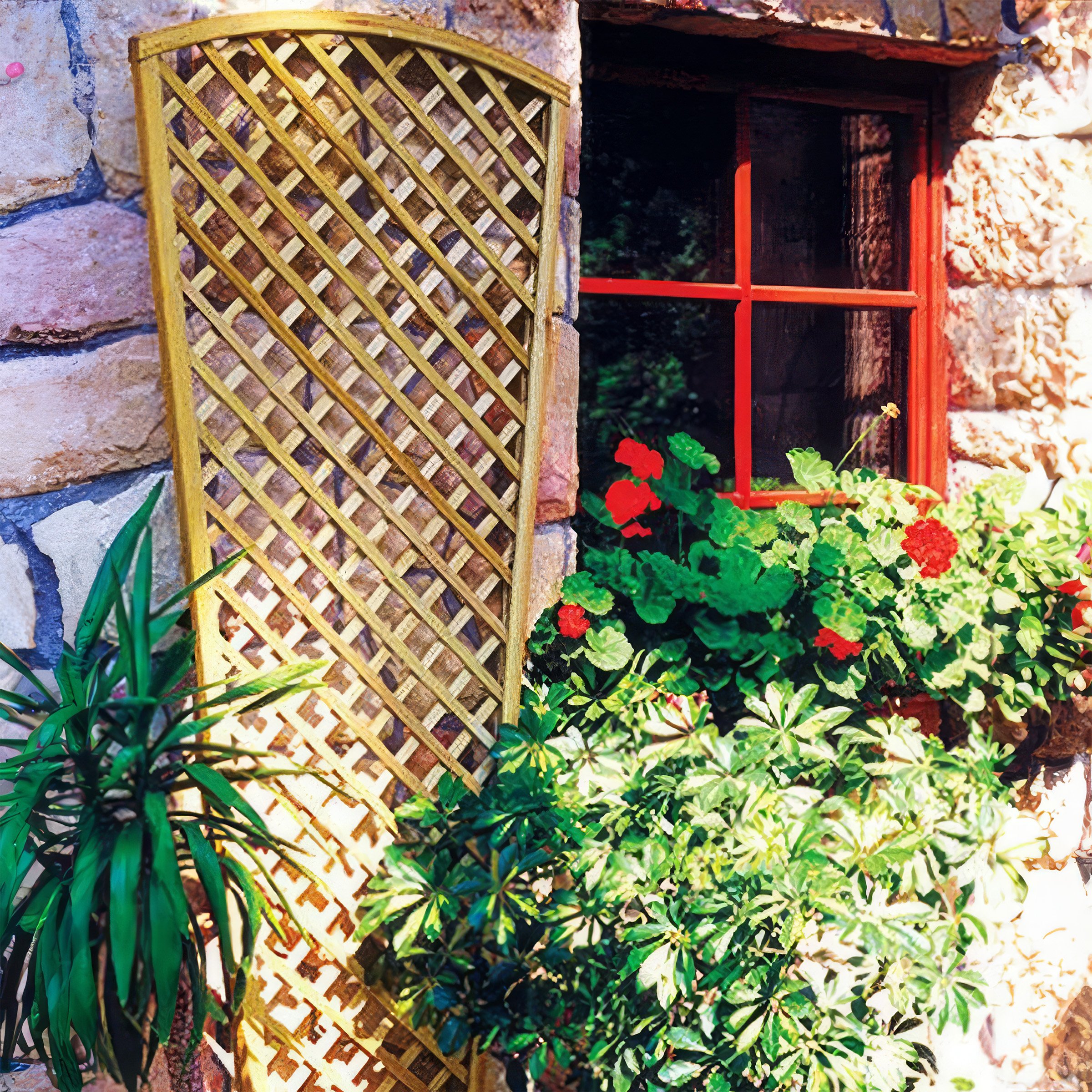 Primrose Fan Design Trellis Outdoor Garden Wall Privacy - 1.83m x 0.8m