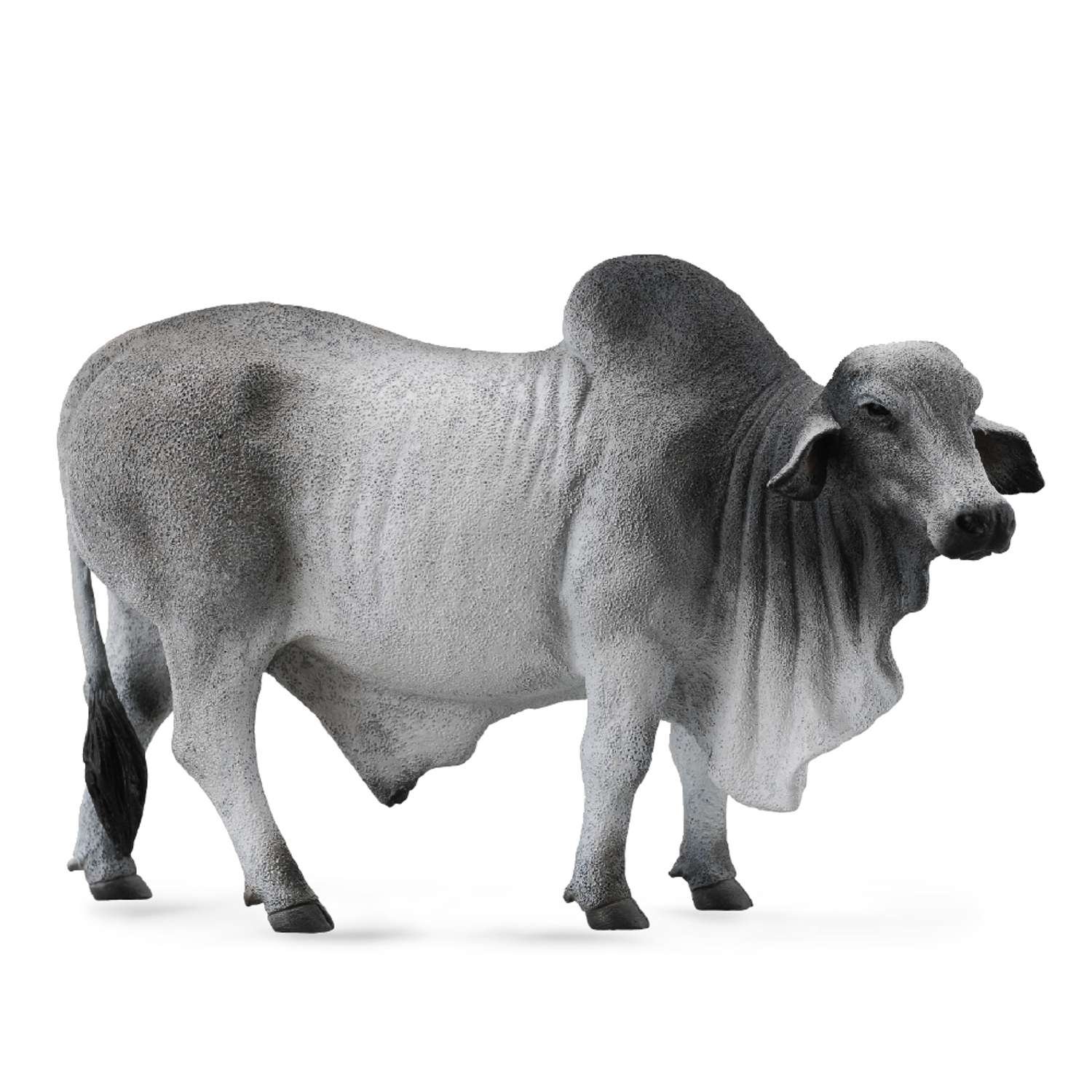 CollectA Brahman Bull - 3 Years +