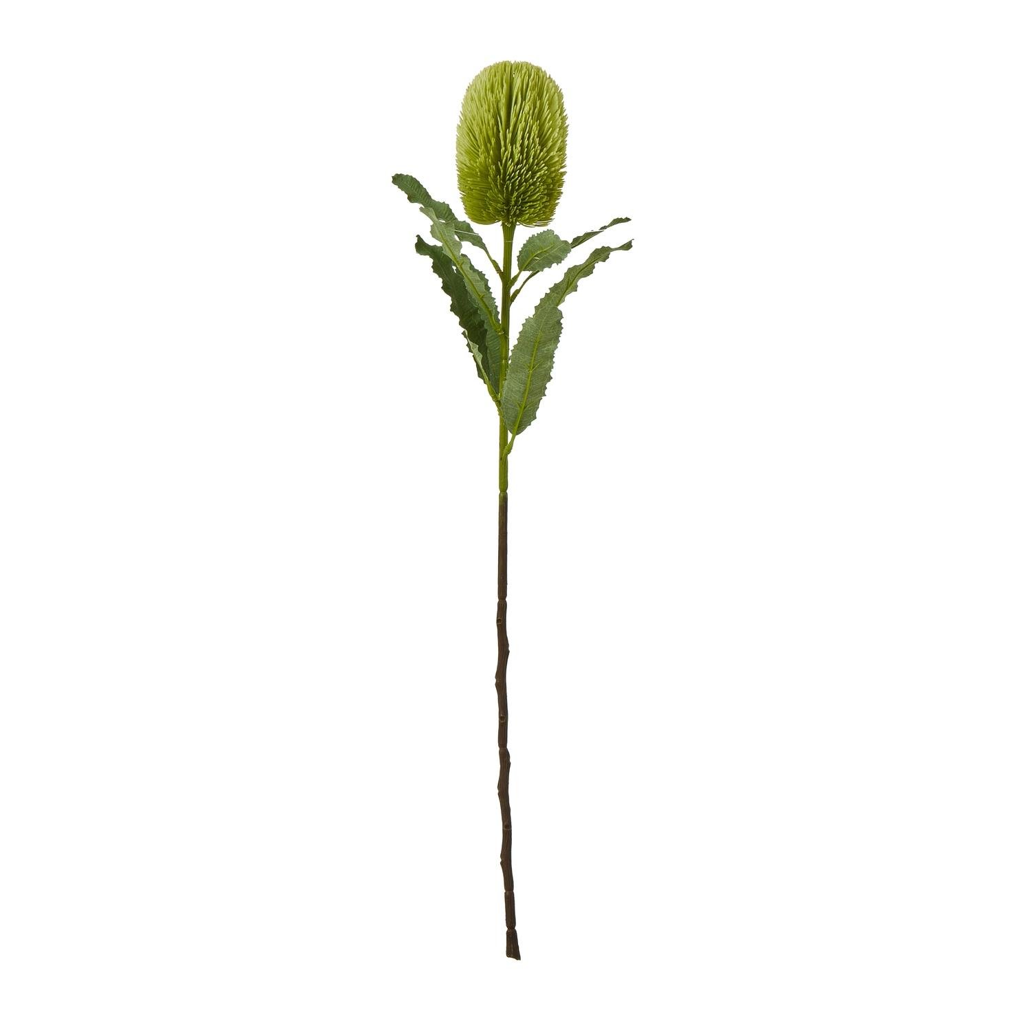 Hill Interiors Banksia Serrata Artificial Flower - Green