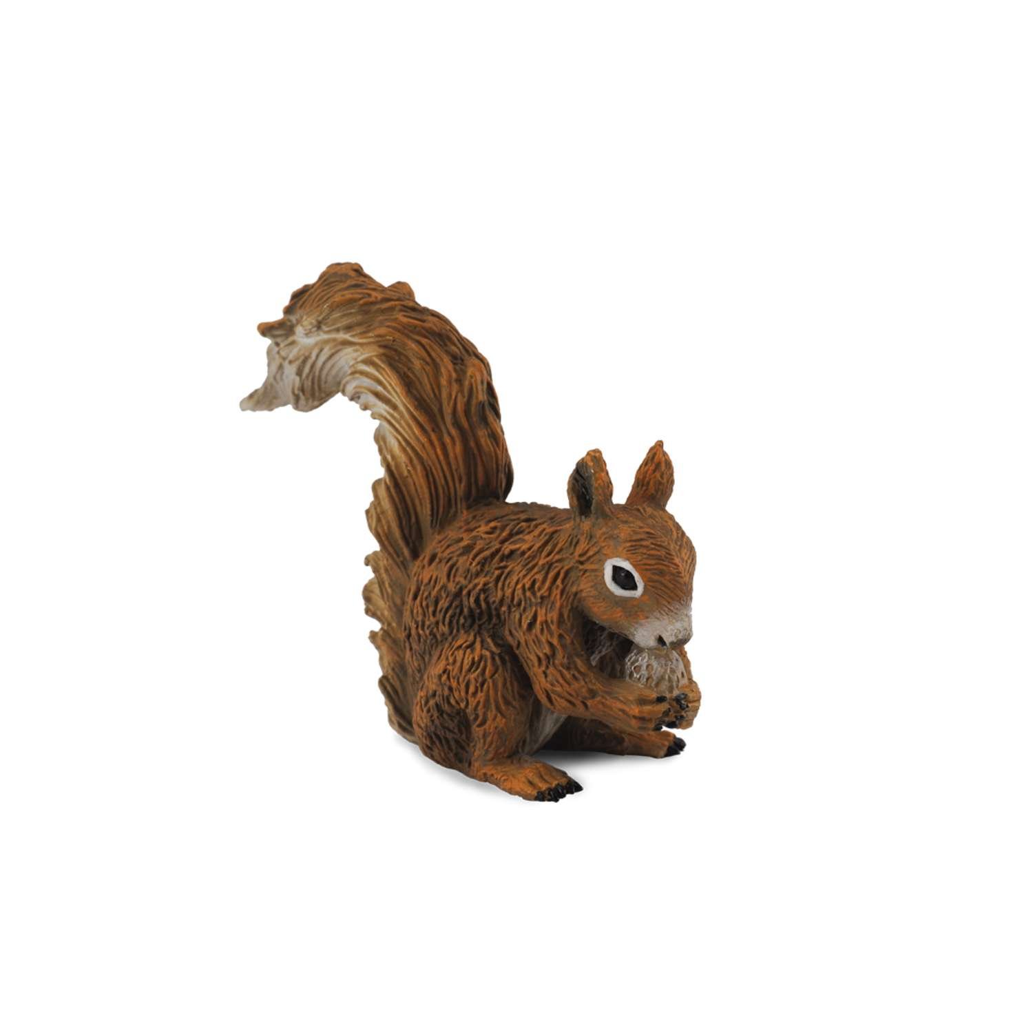 CollectA Red Squirrel Eating - 3 Years +