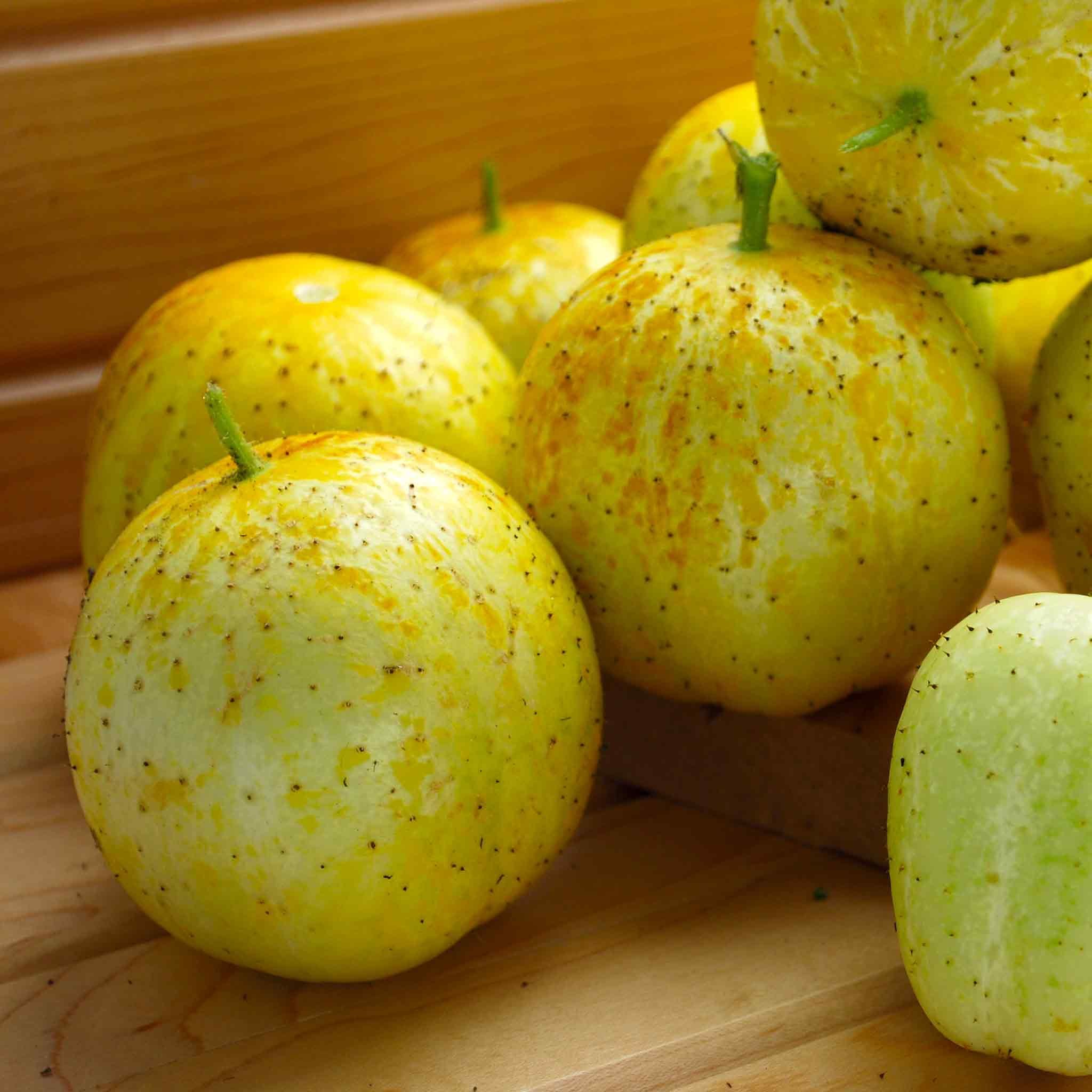Marshalls Garden Cucumber Seeds 'Lemon' - 8 Seeds