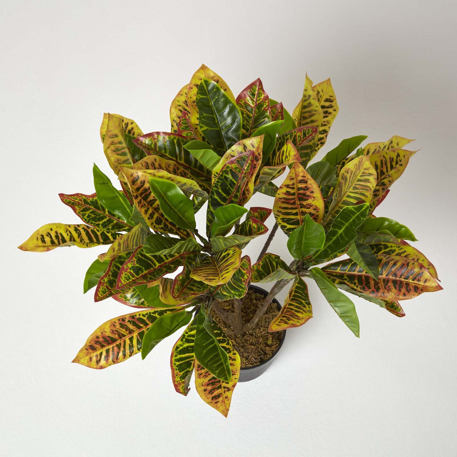 Homescapes Handcrafted Artificial Croton Plant with Pot - Green
