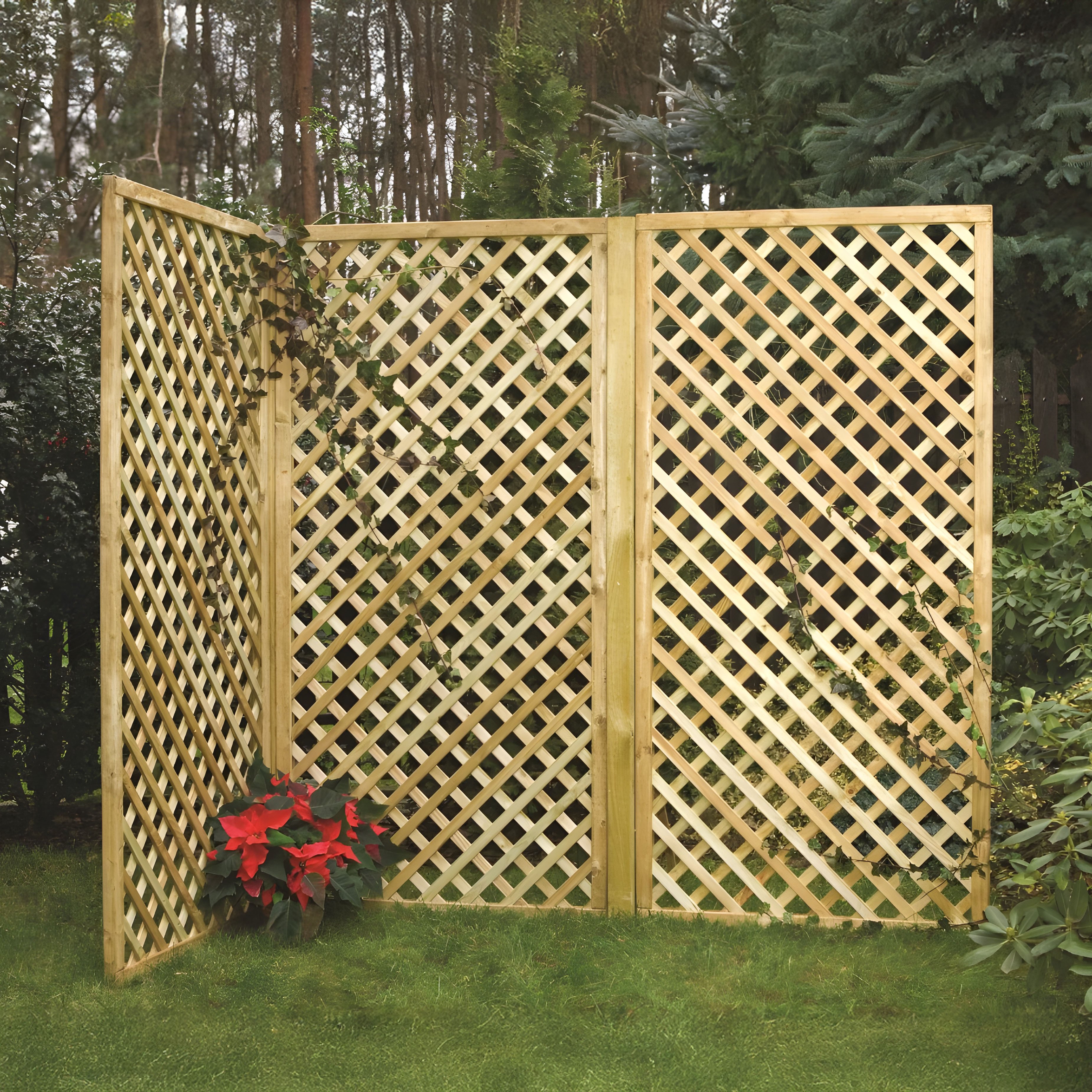 Primrose Premier Wall Trellis Privacy Panel Screening Sheet - 1.83m x 0.9m
