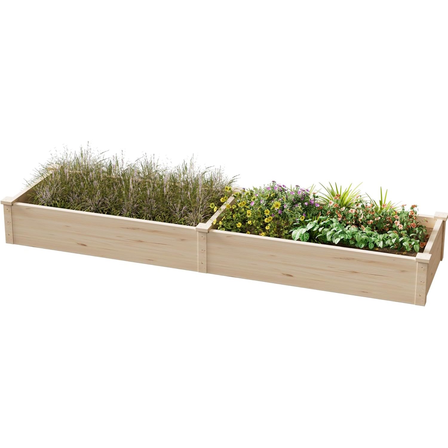 Greenera Raised Garden Bed 238x57.8x25cm