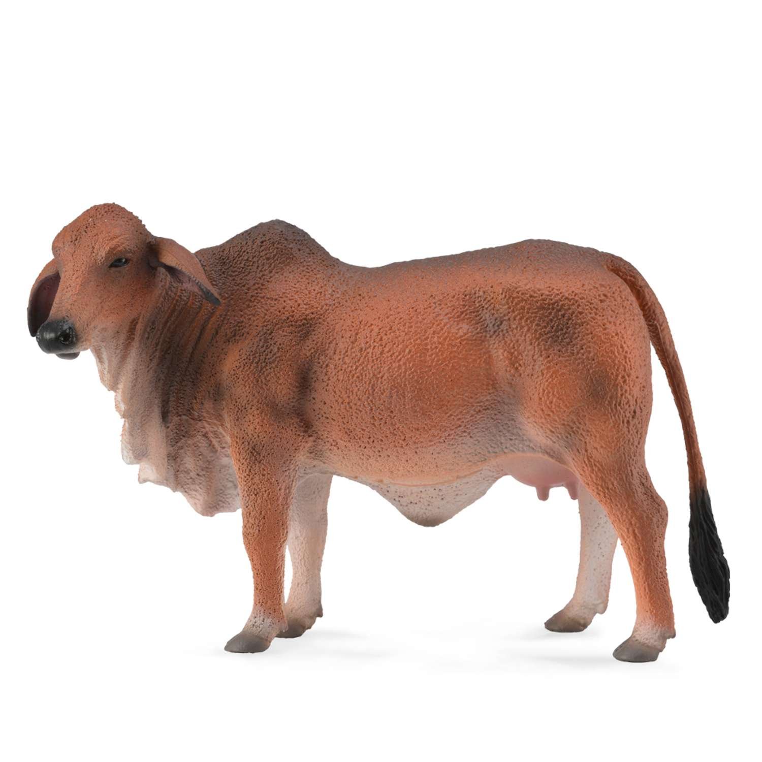 CollectA Red Brahman Cow - 3 Years +