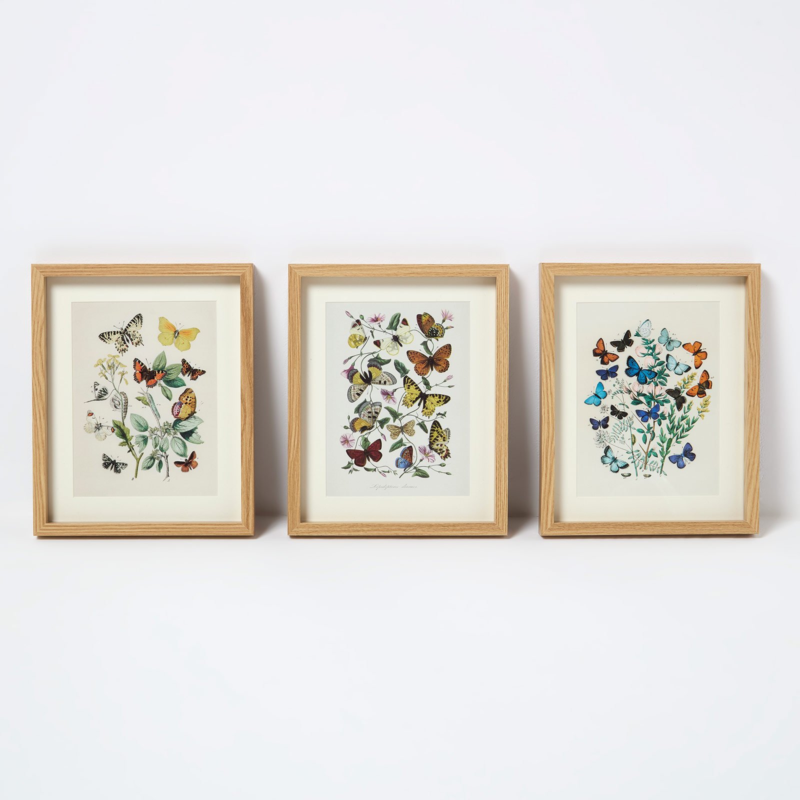 Homescapes Framed Butterflies Wall Art Set - 20 x 25 cm - Multicoloured