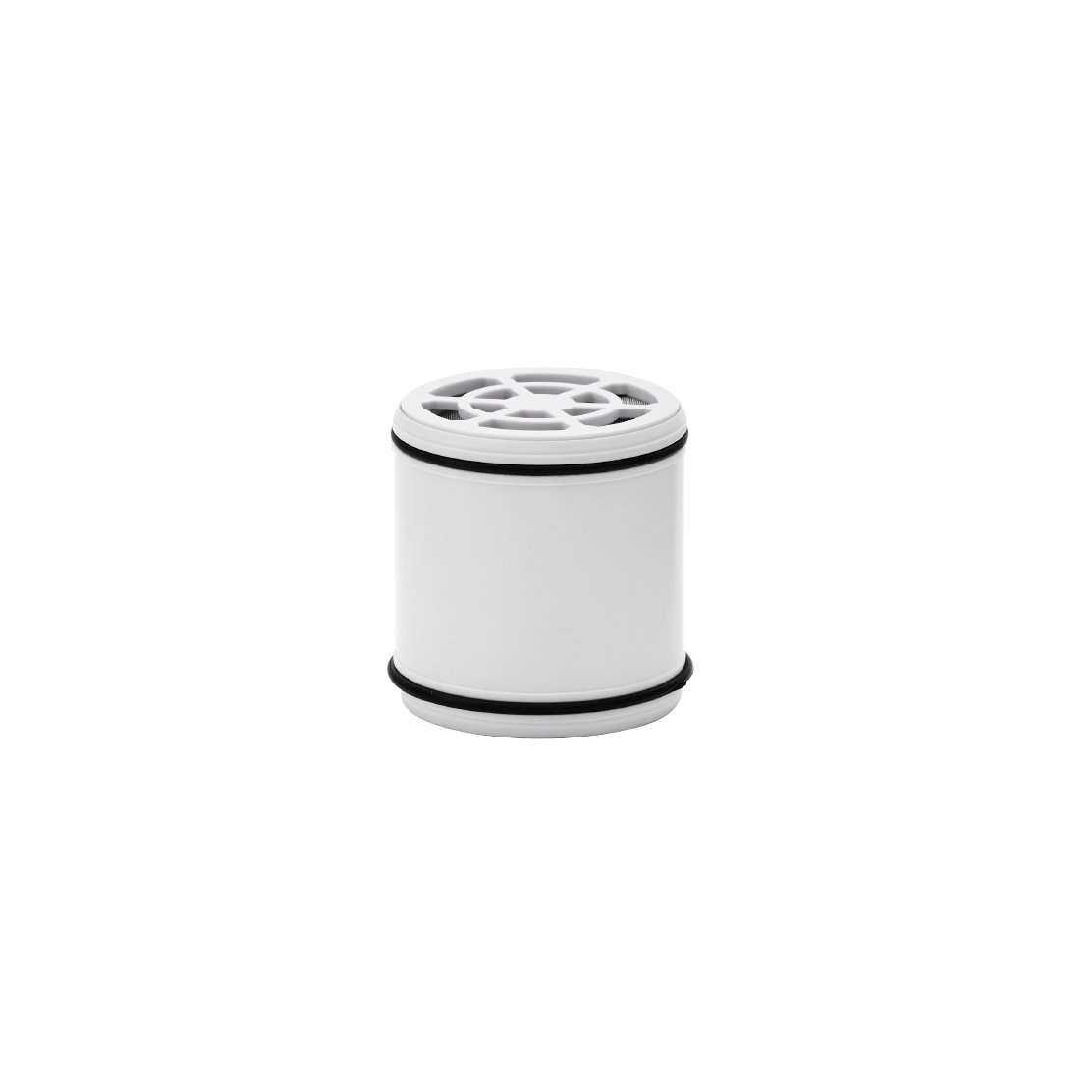 Tappwater ShowerRain Refill Water Filter - Chrome