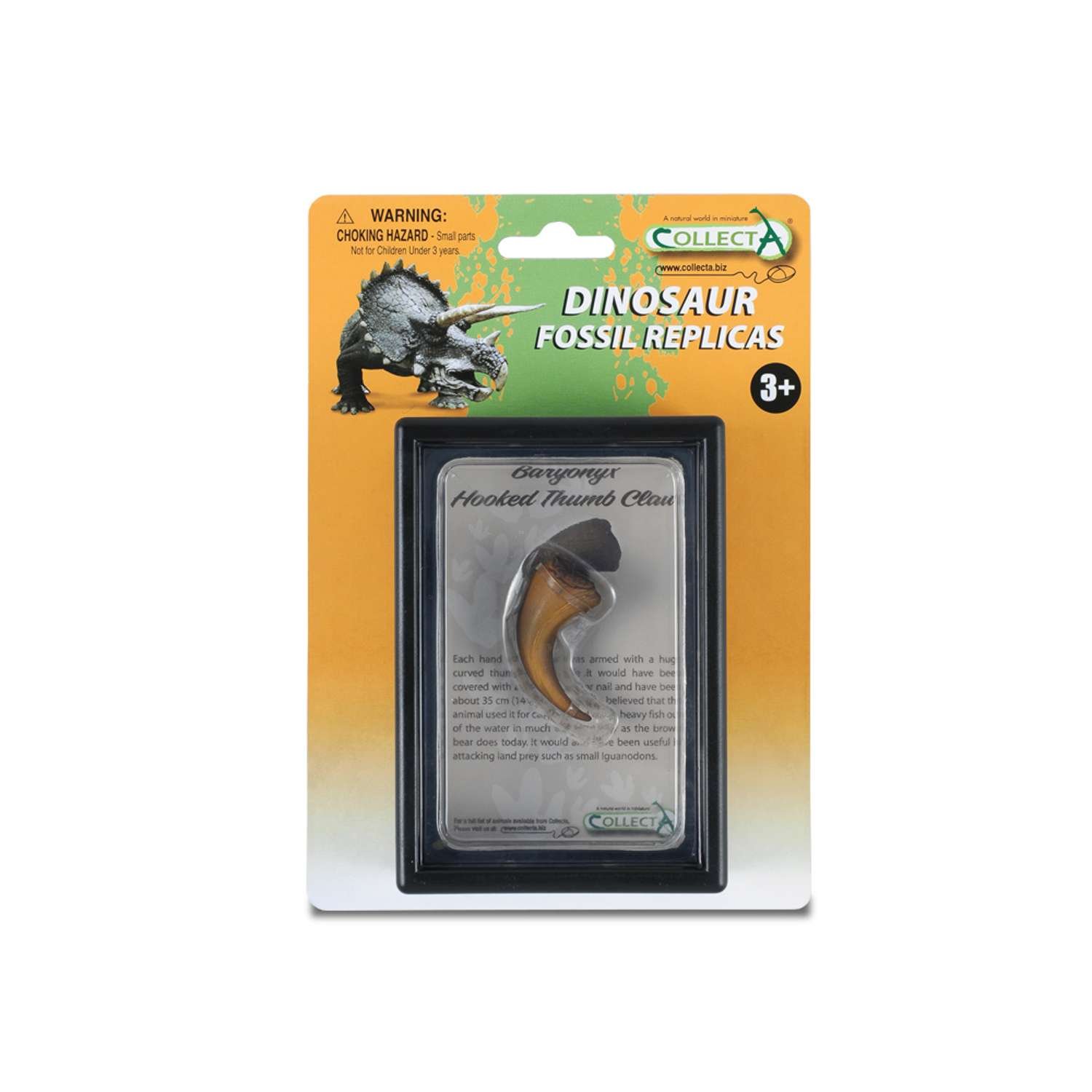 CollectA Hooked Thumb Claw Of Baryonyx In Display Case - 3 Years +