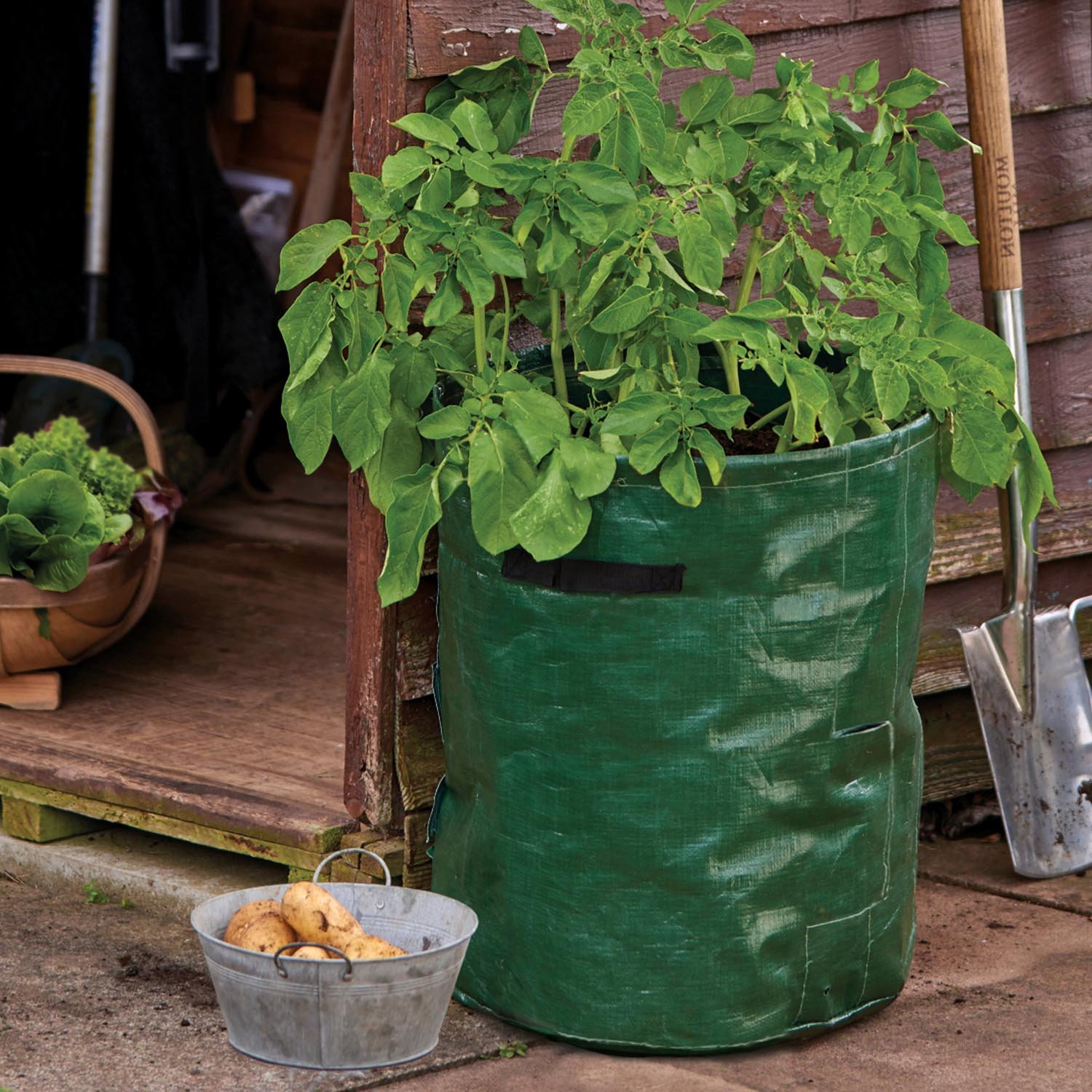 Westland Grow It Potato Planter Bags Twin Pack - 40 Litre