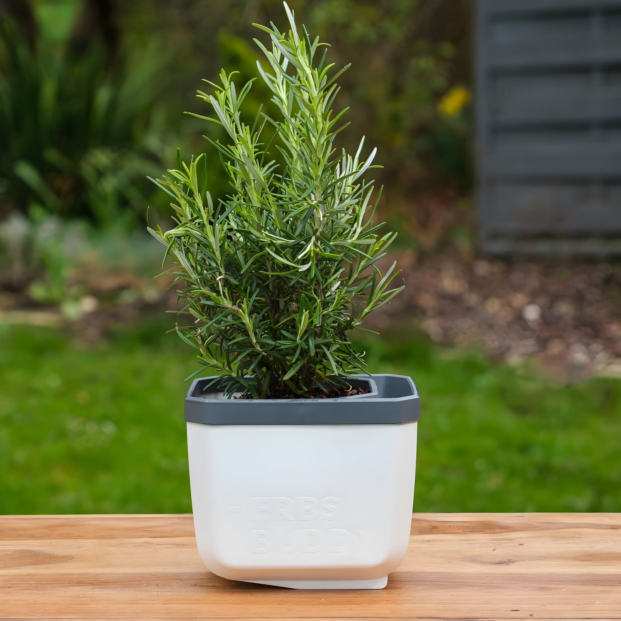 Gusta Garden Herbs Buddy Self-Watering Kitchen Herb Pot - White 3 Pieces