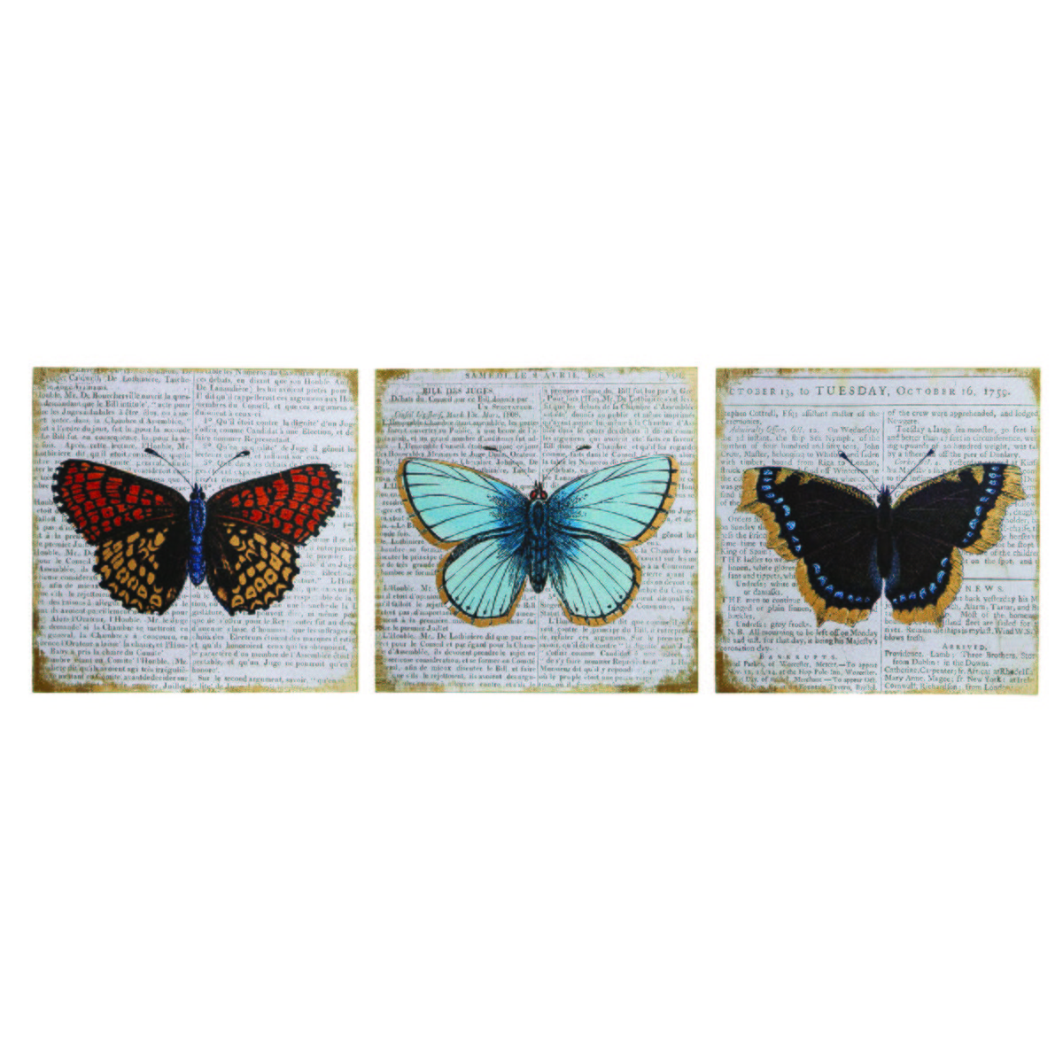 Orsina Madera Butterfly Wall Plaque - Set of 3