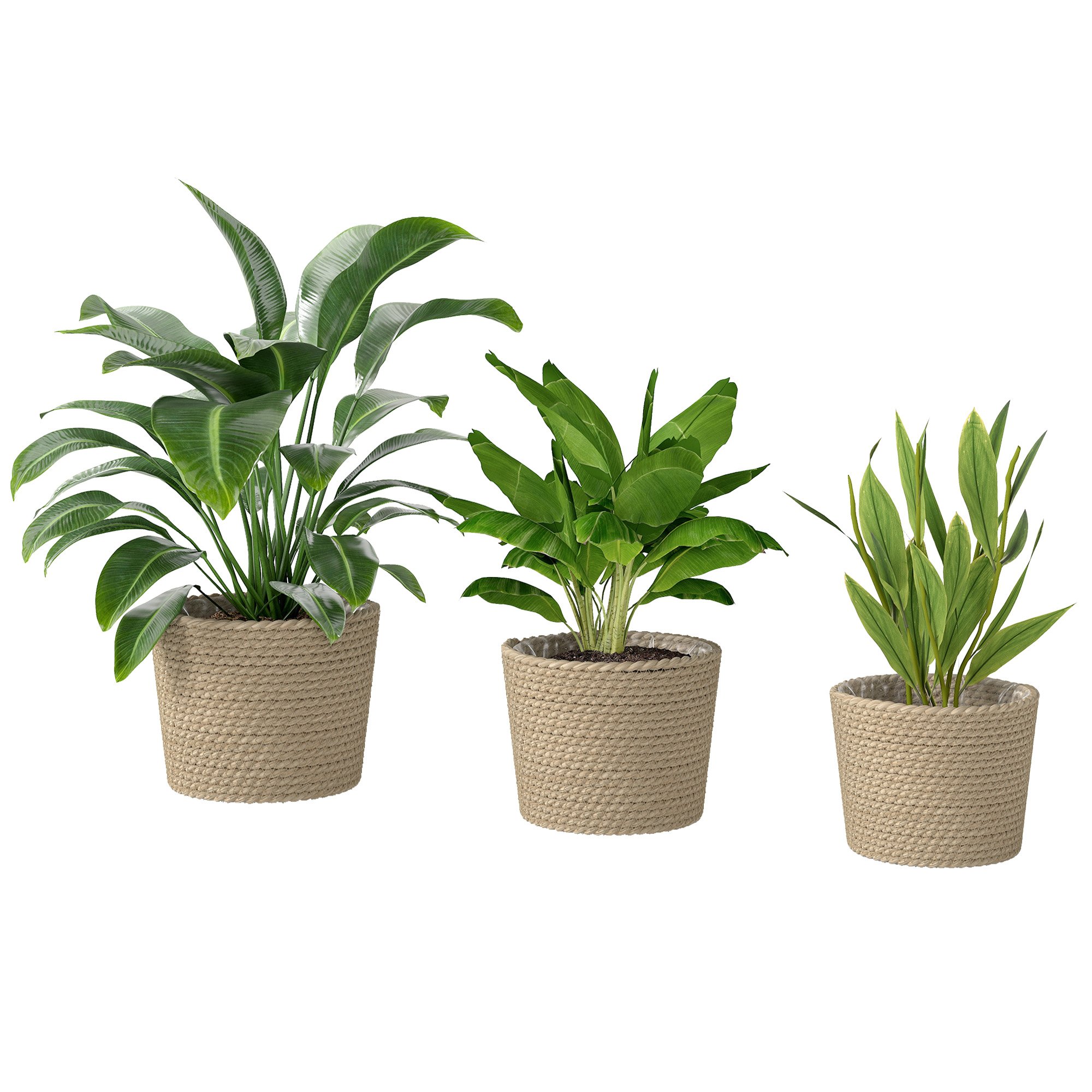 Outsunny 3 Seagrass Plant Pots with Plastic Liners - Natural Wood