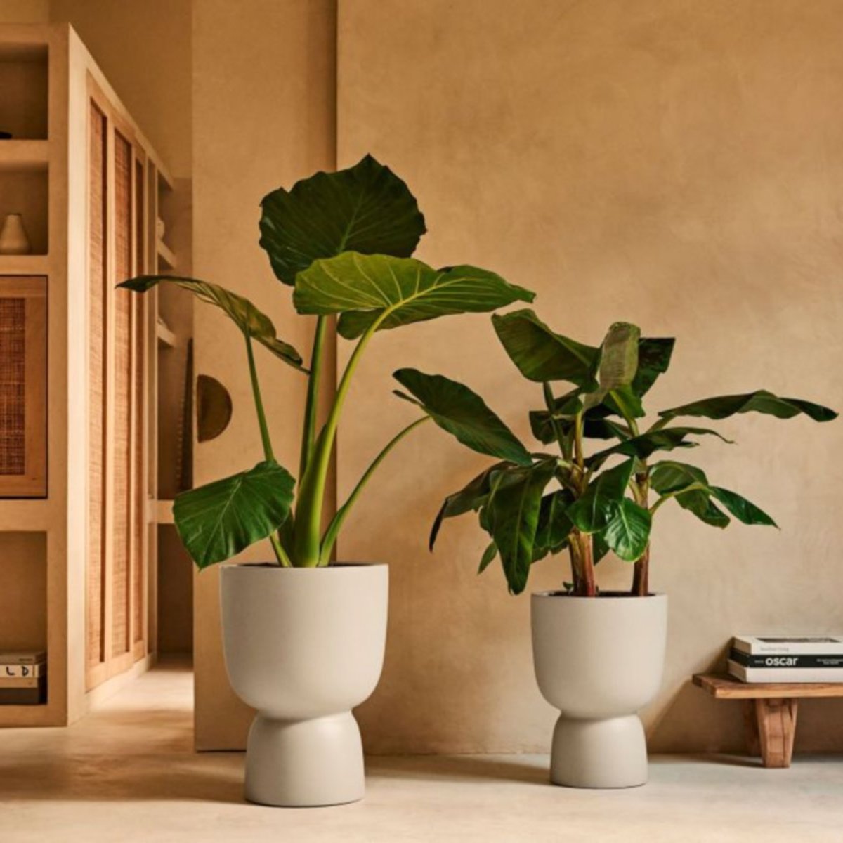 Elho Amber Coupe 41 Indoor and Outdoor Plant Pot - Beige