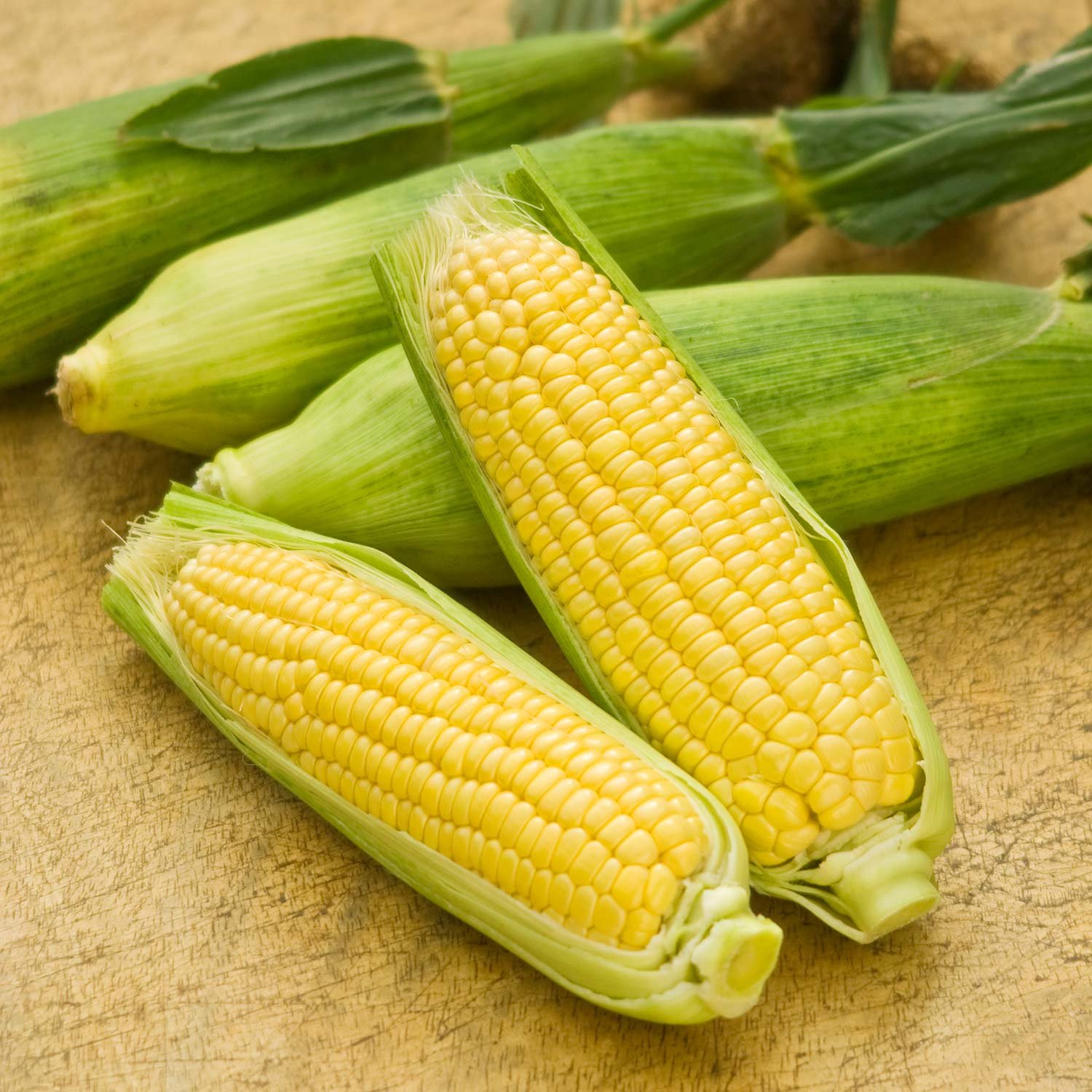 Marshalls Garden Sweetcorn Seeds 'Mirai Picnic' F1 - 20 Seeds