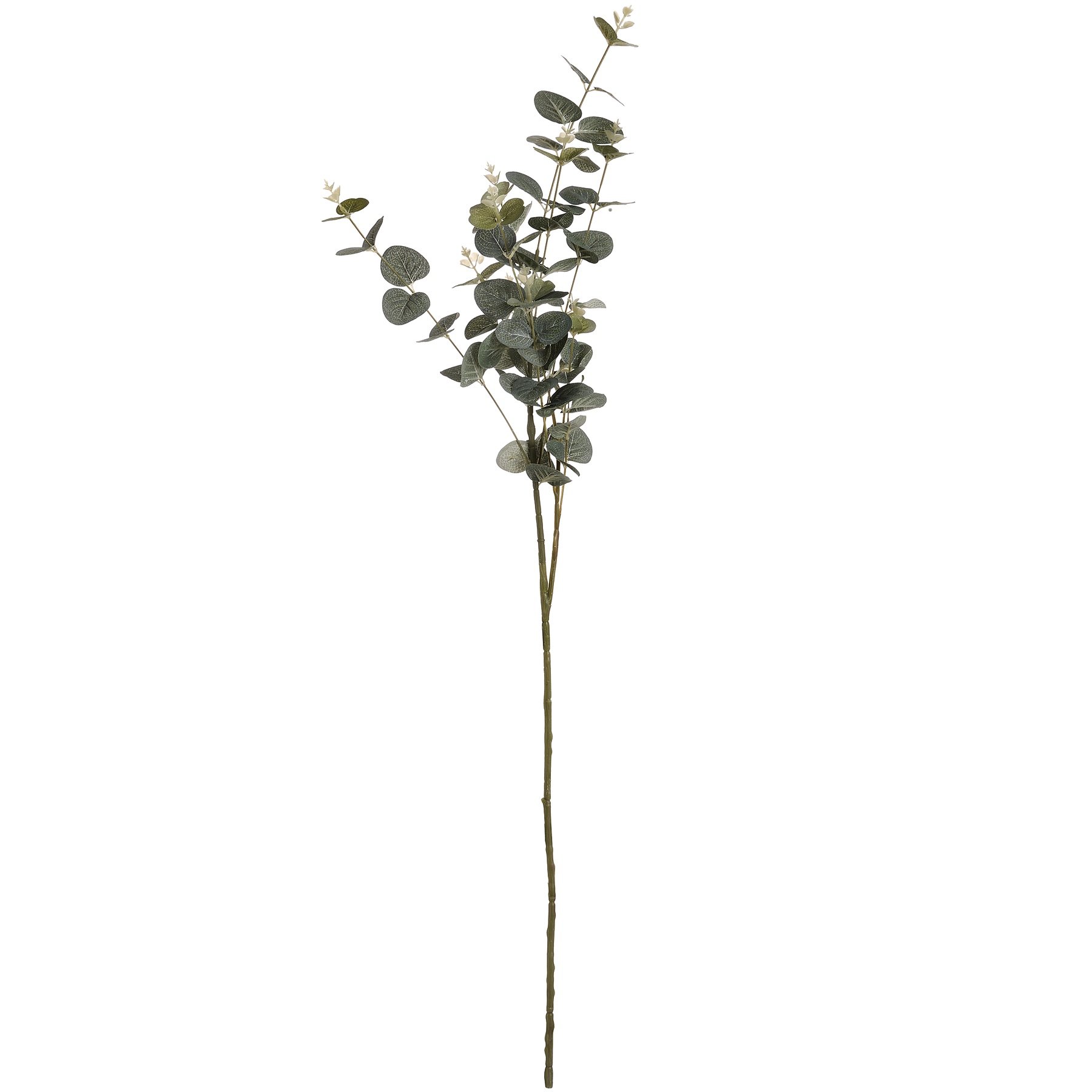 Hill Interiors Artificial Cineraria Eucalyptus Spray - Green