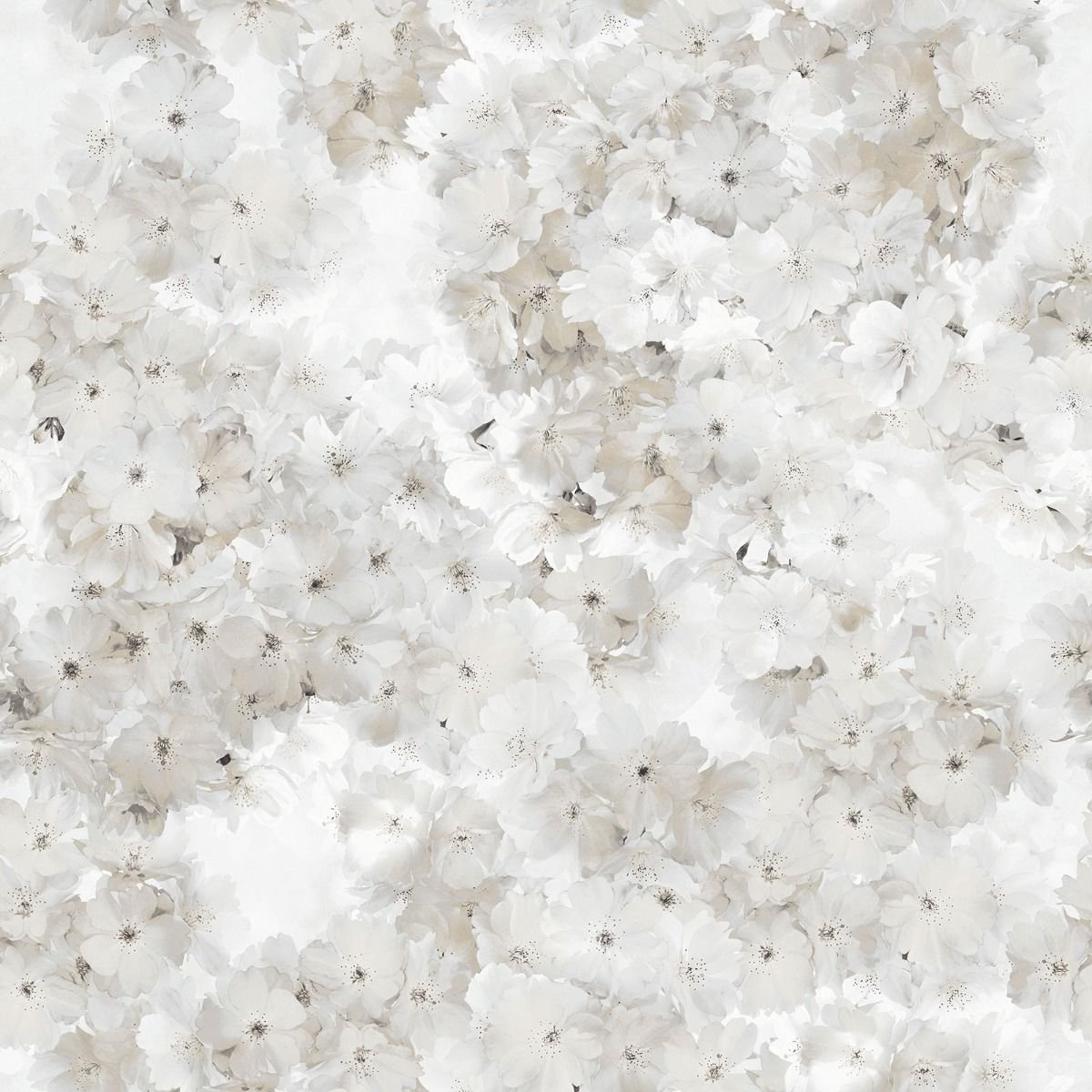Muriva Apple Blossom Wallpaper - Natural
