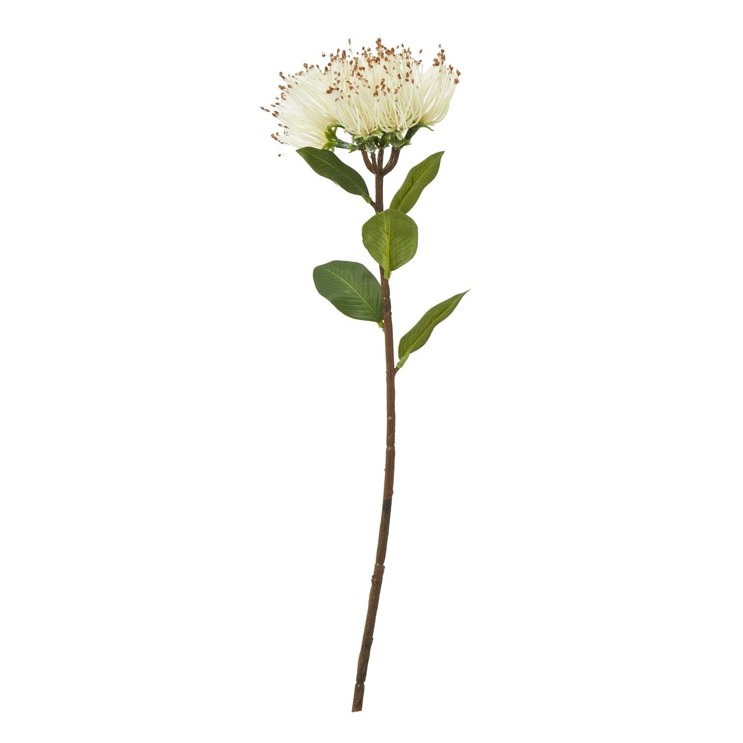 Hill Interiors Protea Nitida Stem Artificial Plant - Cream