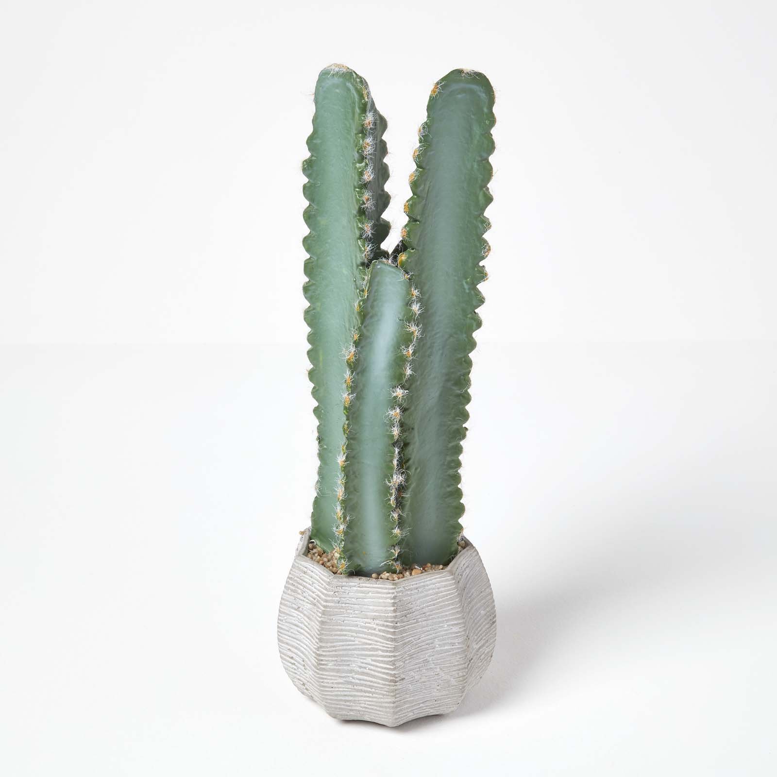 Homescapes Polyfoam Hylocereus Artificial Plant in Textured Stone Pot - Green