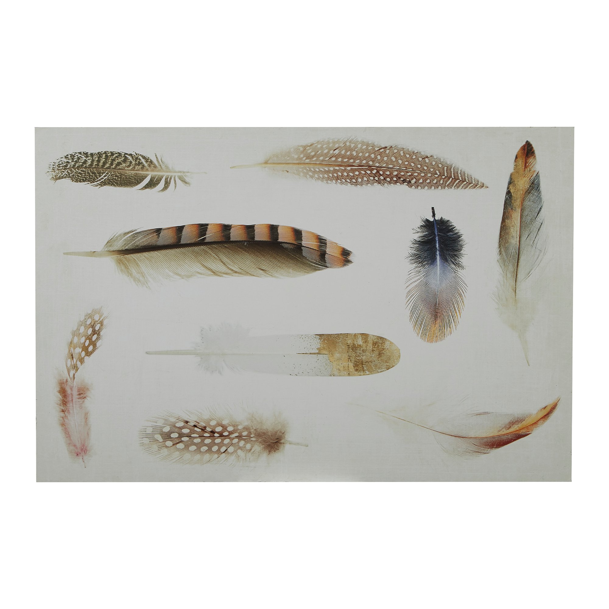 Orsina Madera Feather Wall Plaque
