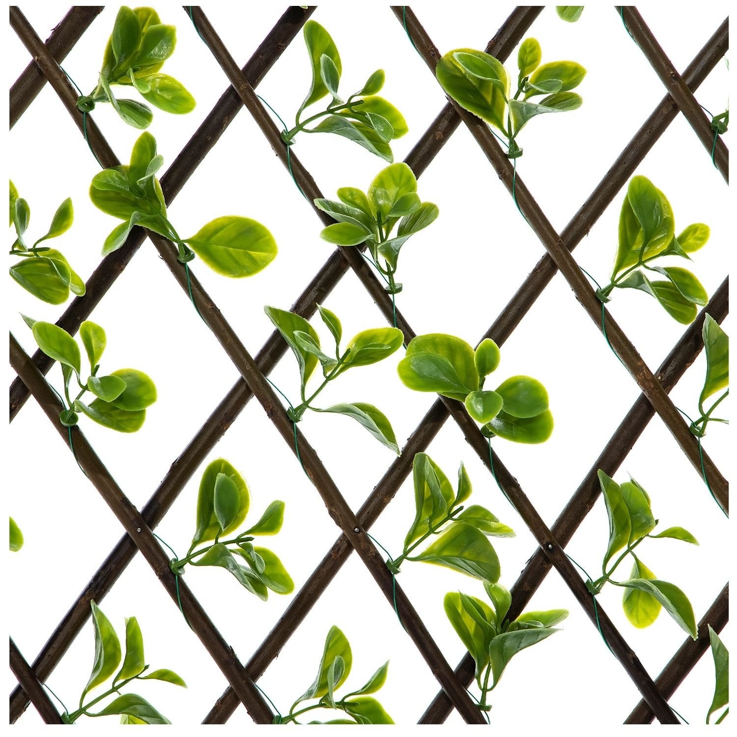 Ark Mat Expanding Wooden Trellis Privacy Screen - 200cm x 100cm - Jade
