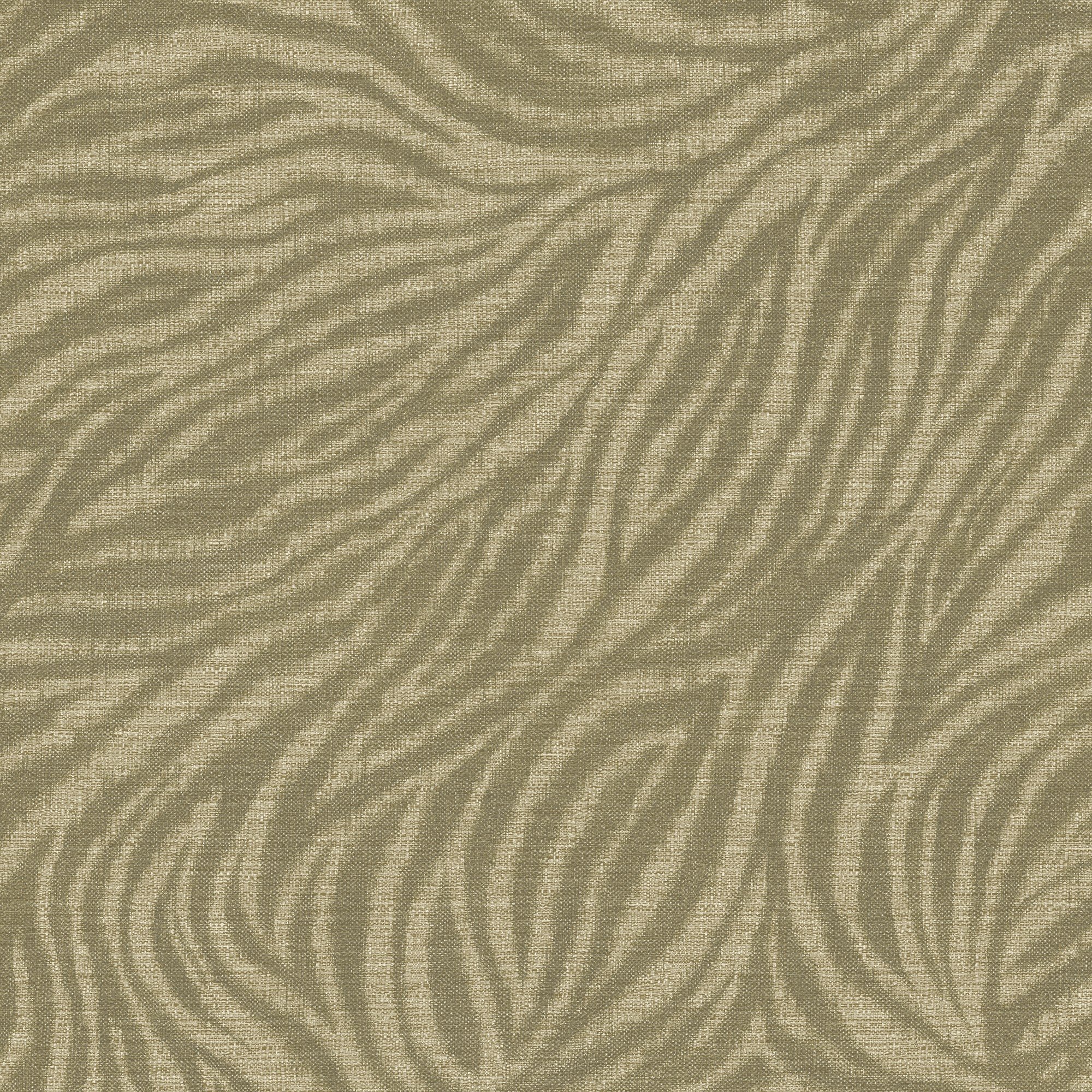 Grandeco Ankara Modern Zebra Print Textured Wallpaper - Green
