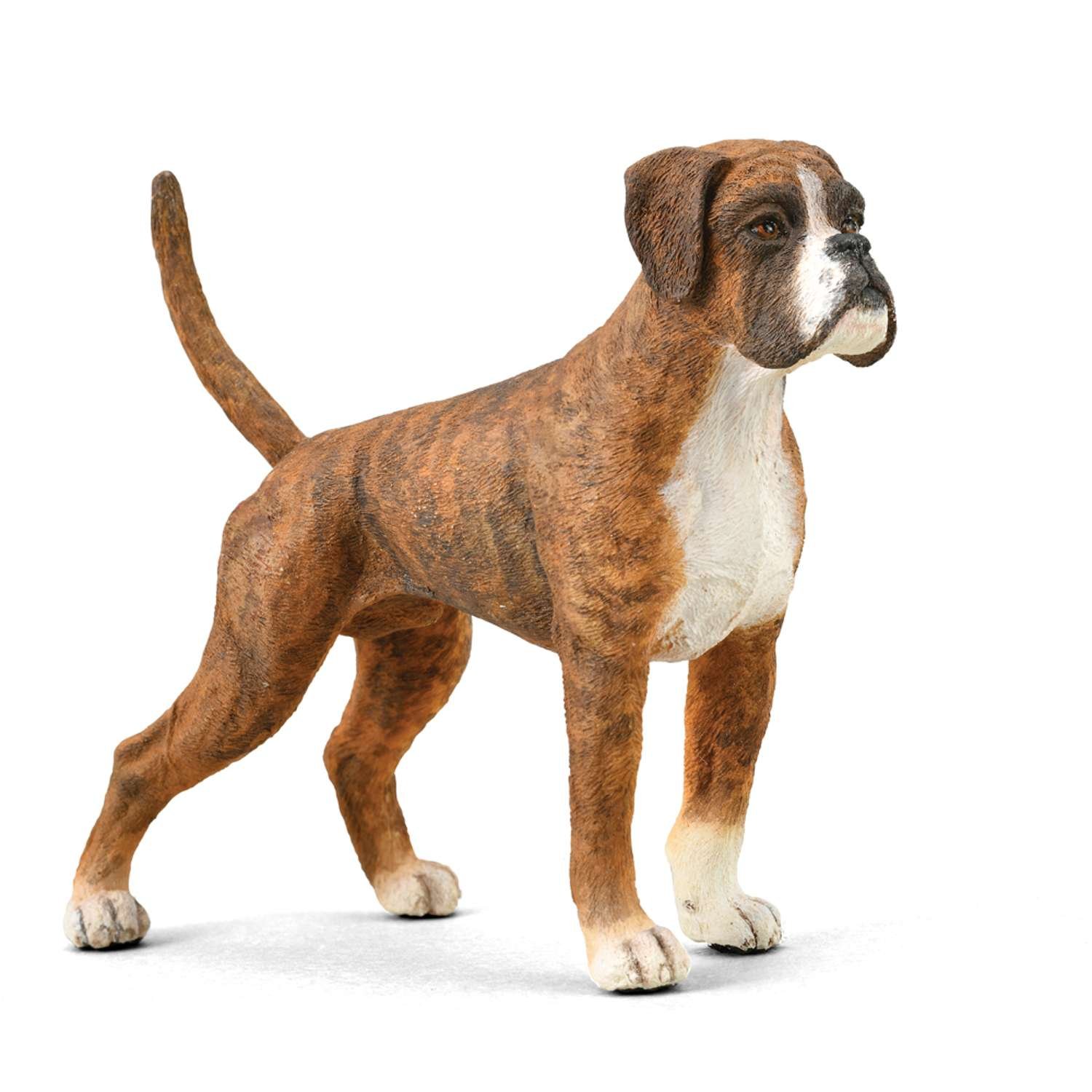 CollectA Boxer - 3 Years +