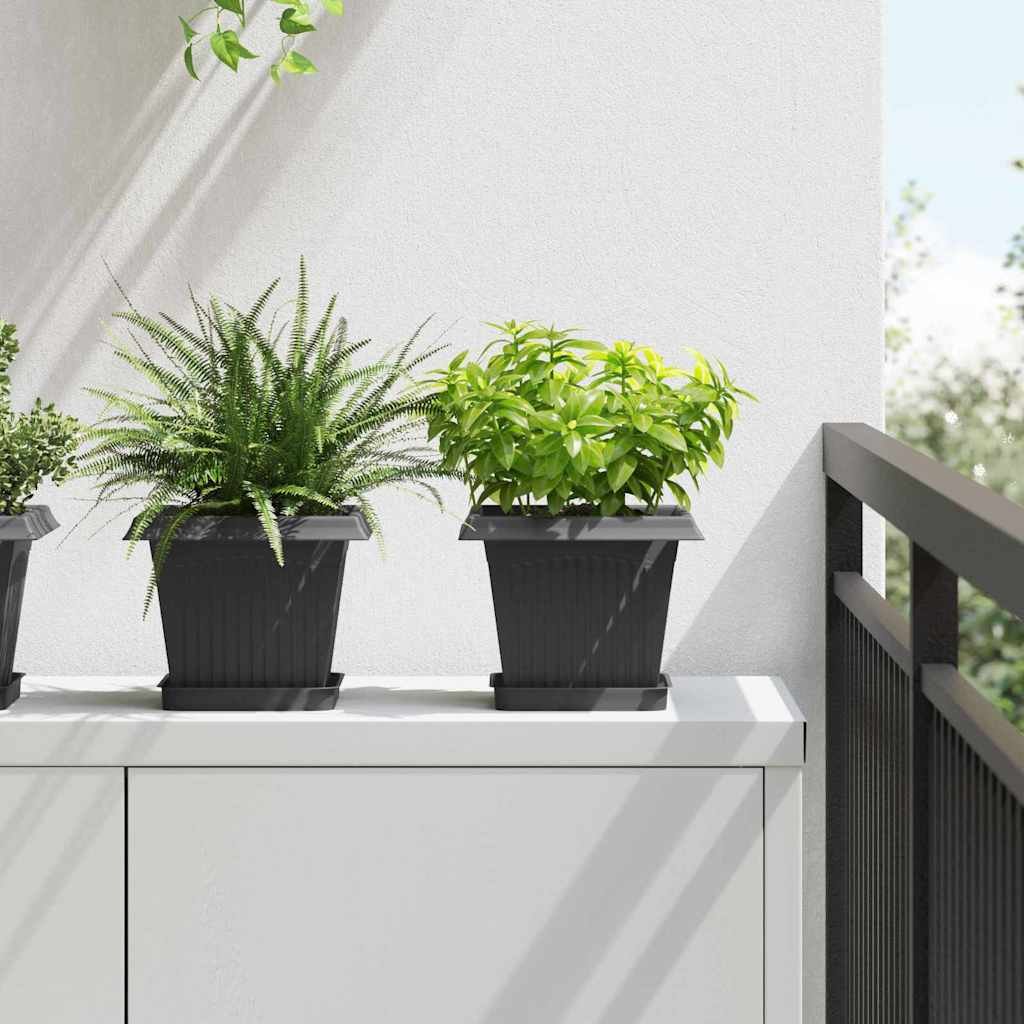 Walplus Pack of 6 Plastic Square Garden Planter Tray - Black - 15 x 15 x 2 cm