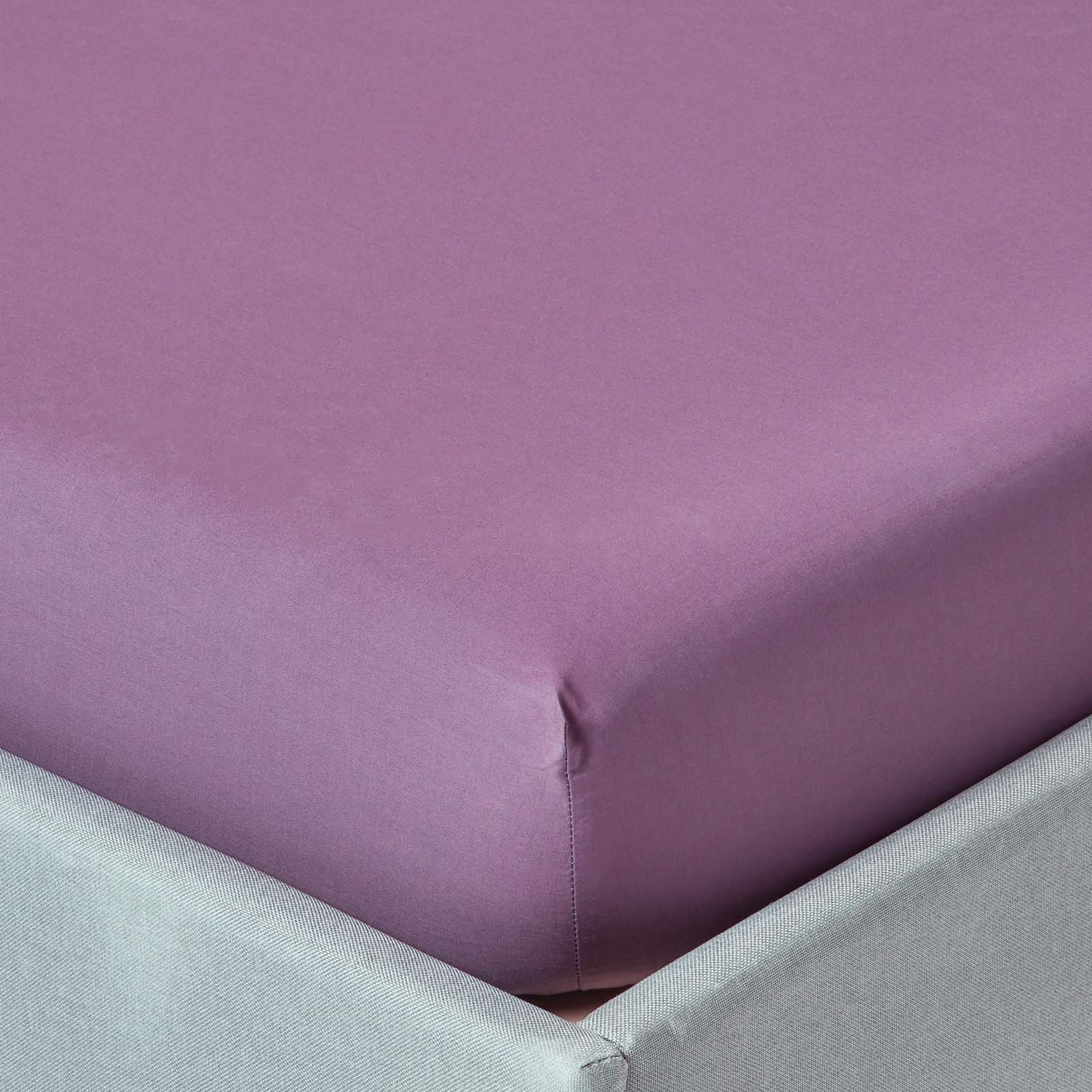 Homescapes Egyptian Cotton Purple Fitted Sheet - Double
