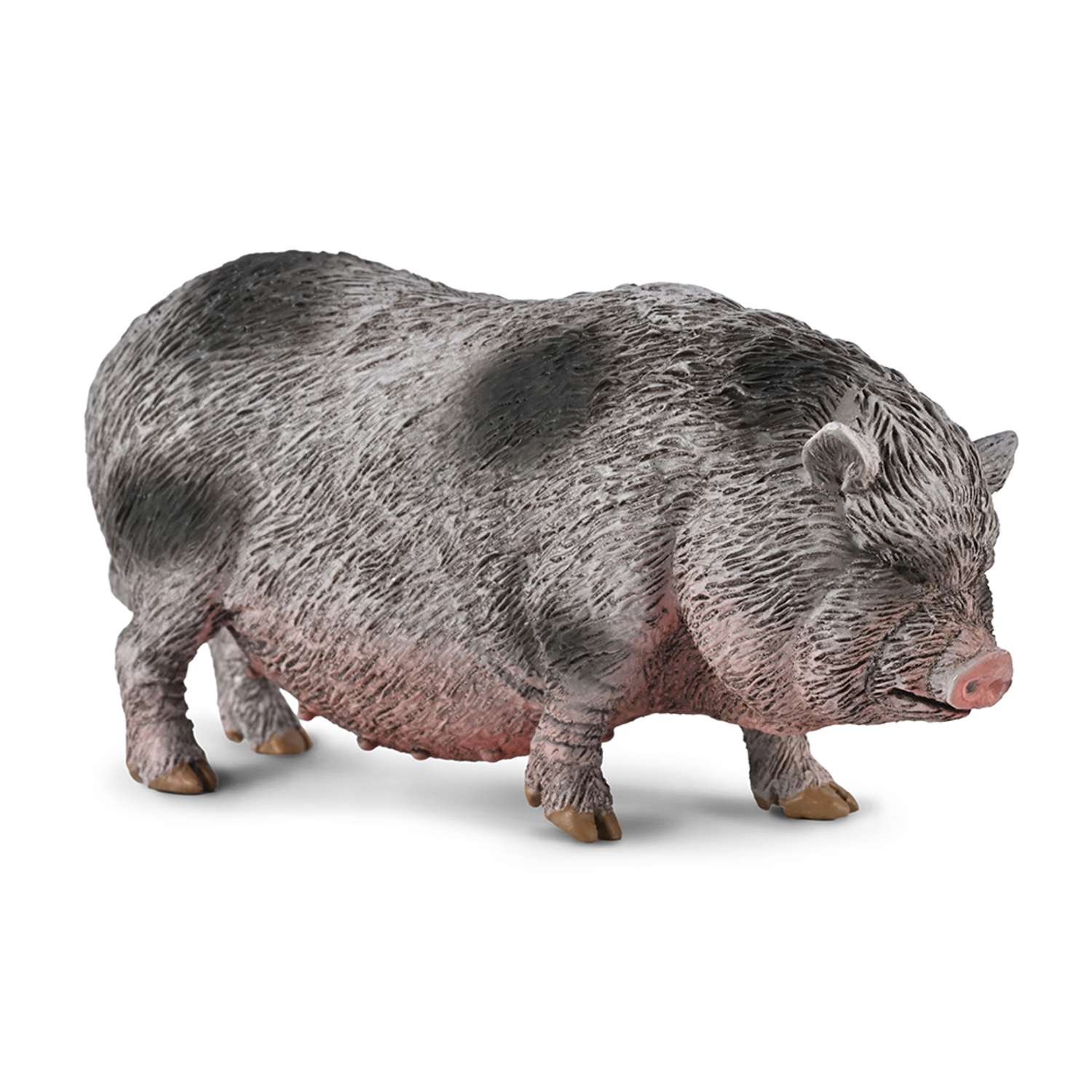 CollectA Pot-Bellied Pig - 3 Years +