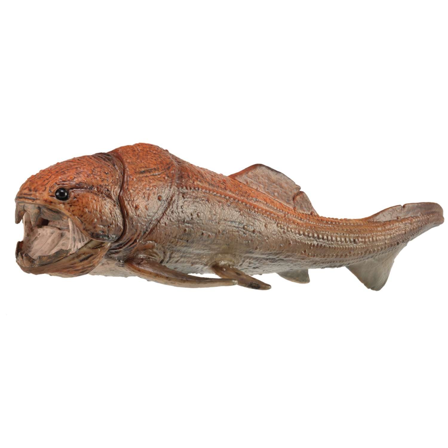 CollectA Dunkleosteus With Movable Jaw 1:20 Scale (Deluxe) - 3 Years +