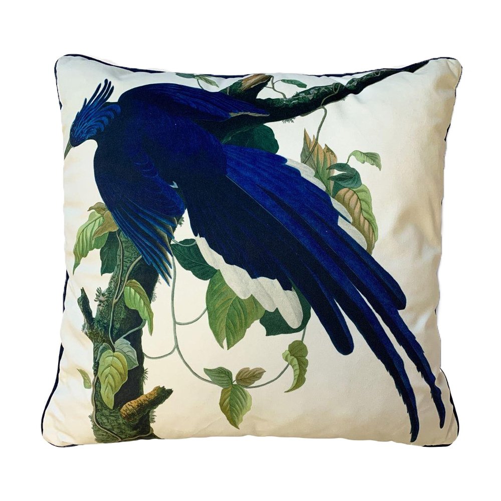 John James Audubon Columbia Jay Filled Cushion