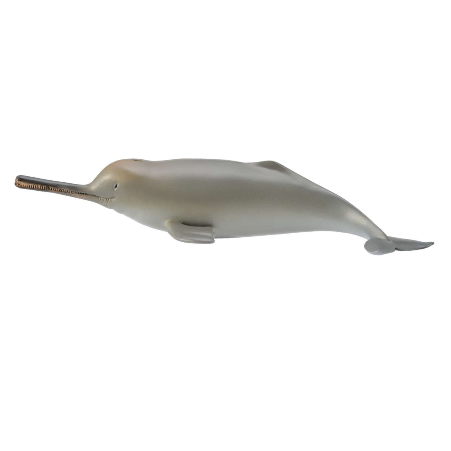CollectA Ganges River Dolphin - 3 Years +