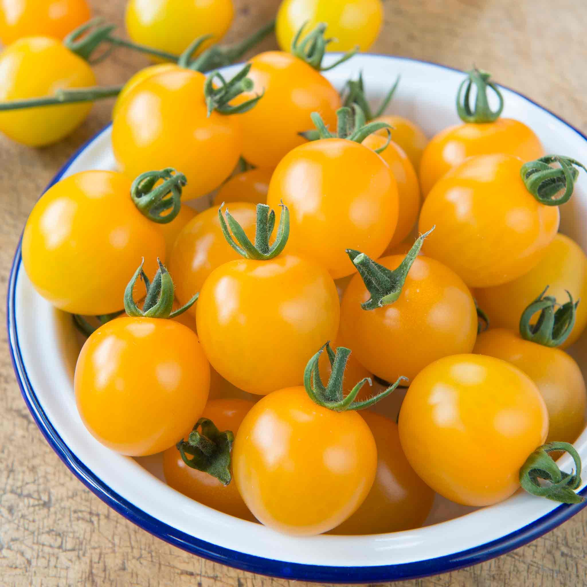 Marshalls Garden Tomato Seeds 'Yellow Mimi' F1 - 10 Seeds