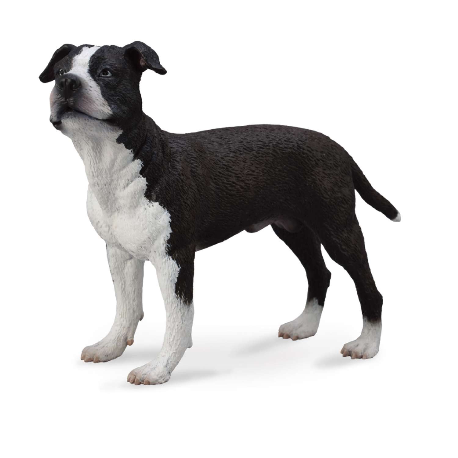 CollectA American Staffordshire Terrier - 3 Years +