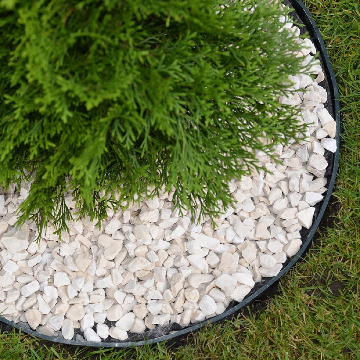 Primrose Flexible Garden Edging with Included Pins in Black - 20m