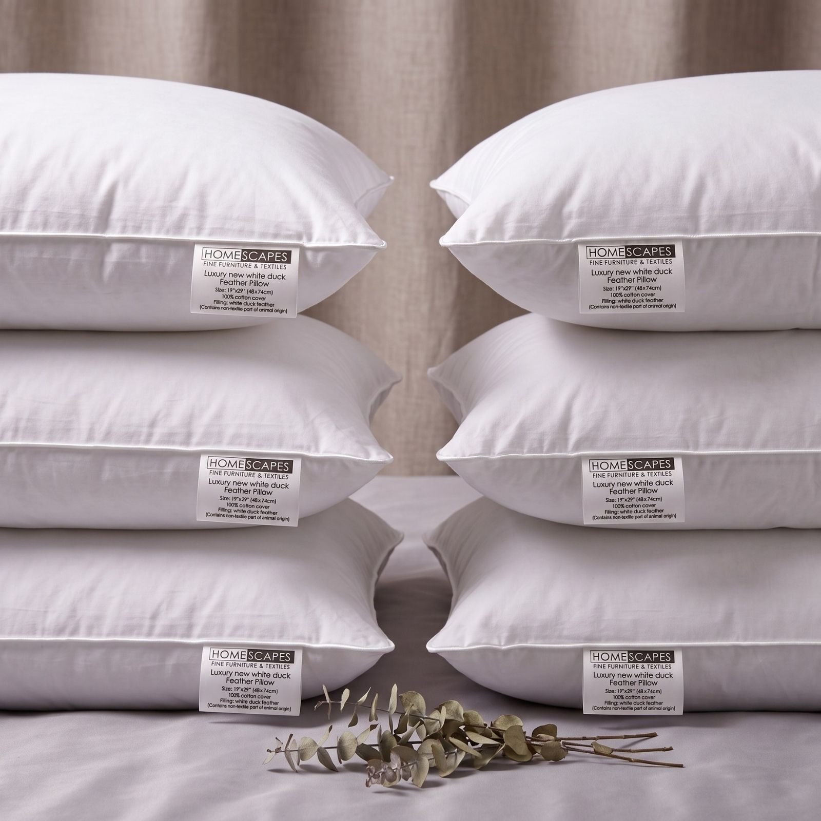 Homescapes Pack of 6 Duck Feather Pillows
