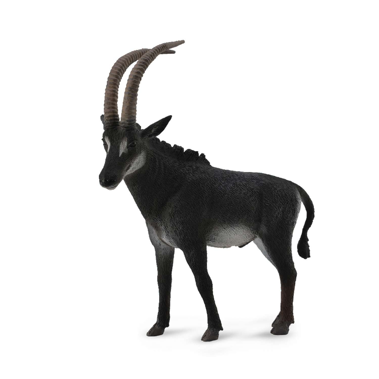 CollectA Giant Sable Antelope Male - 3 Years +