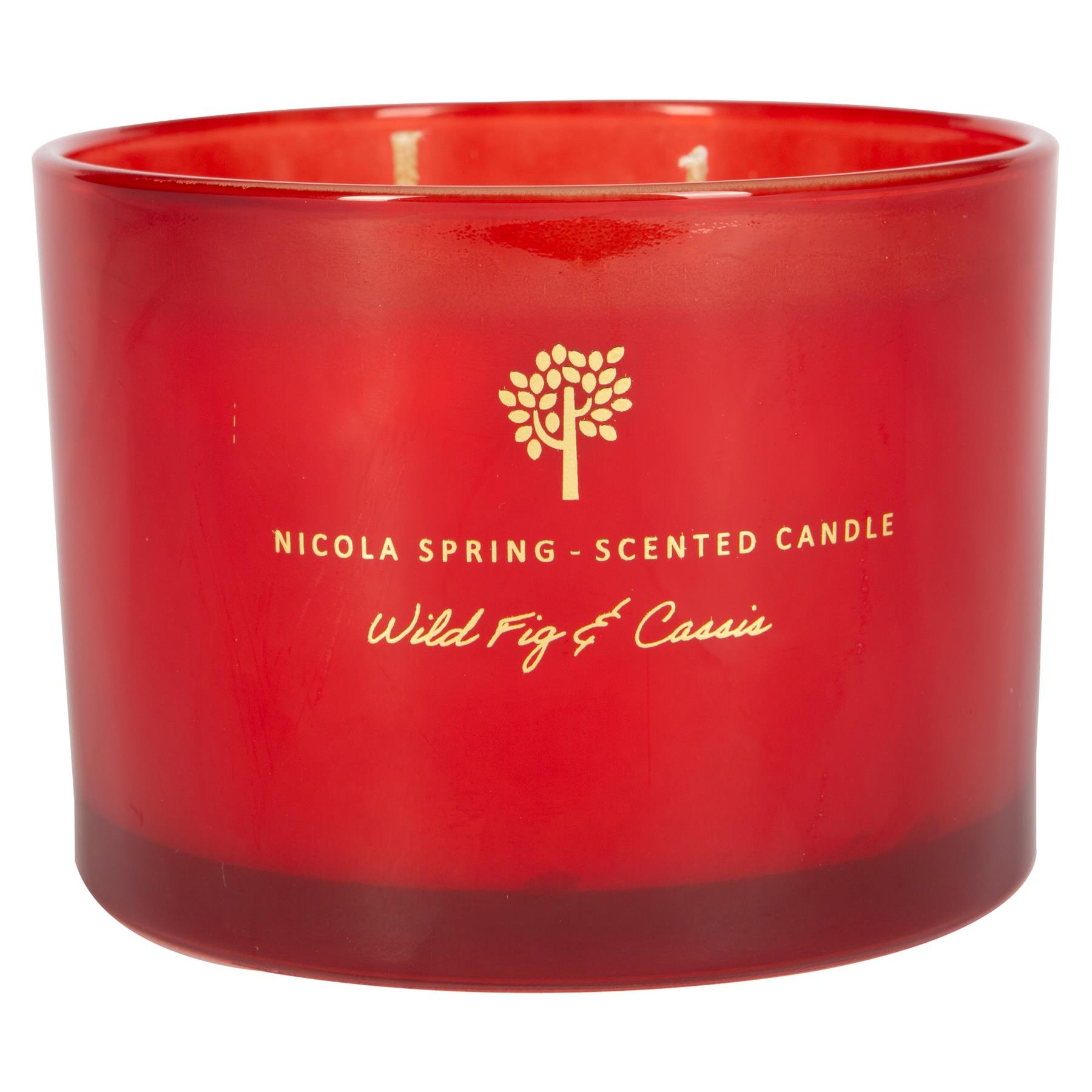 Nicola Spring 350ml Soy Wax Scented Candle - Wild Fig & Cassis